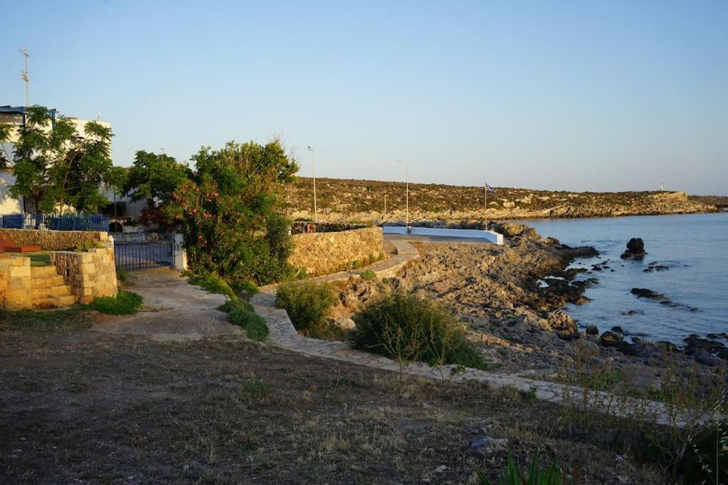 Photo 43