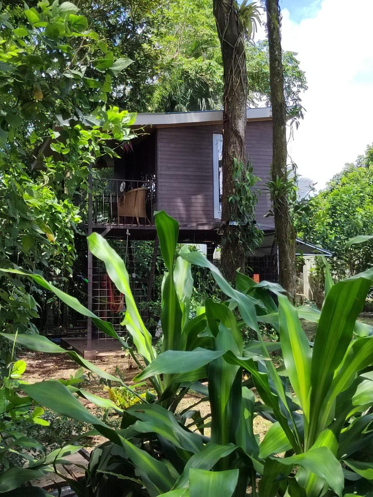 Hotel Salamandra Costa Rica