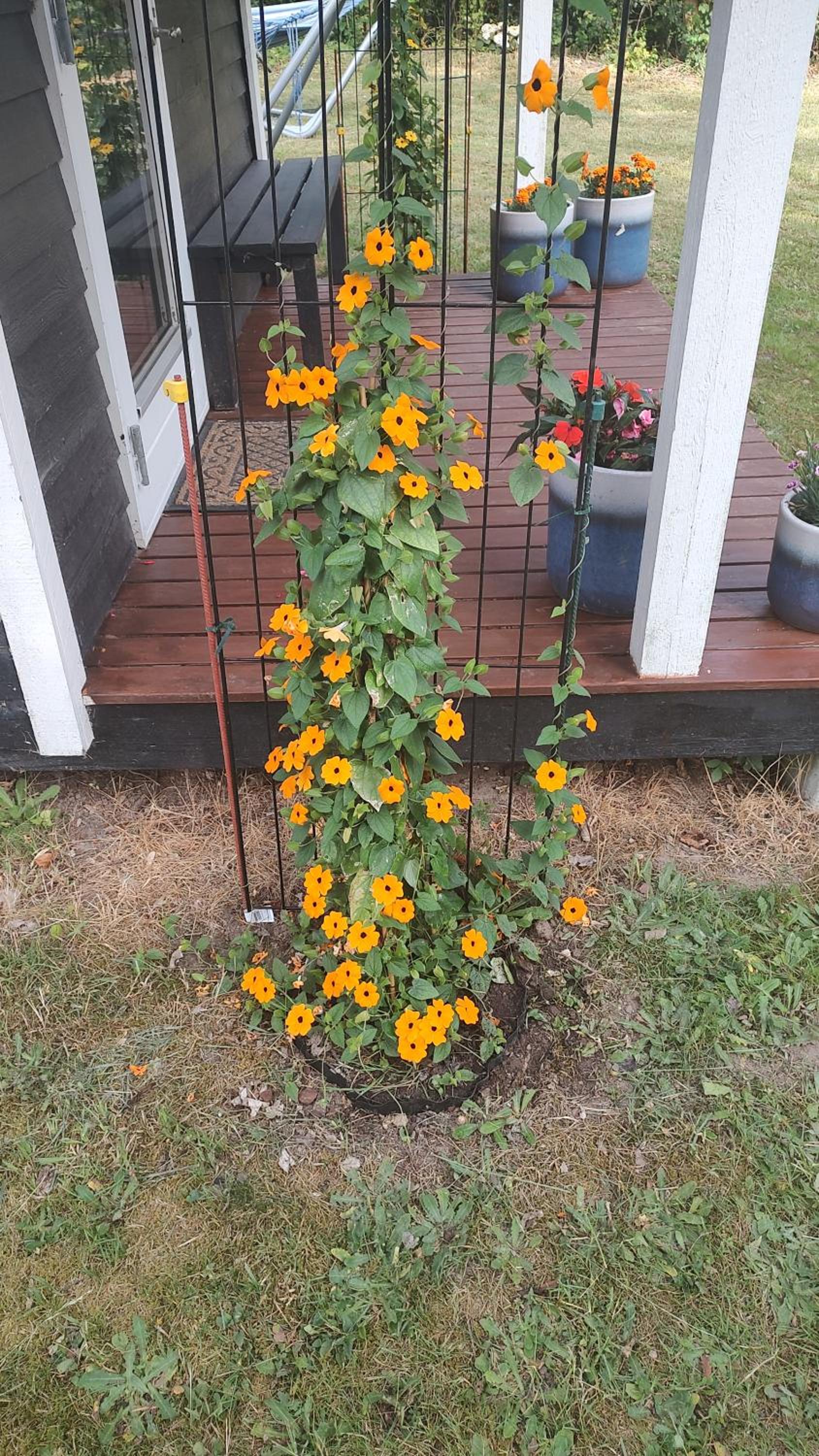 Photo 22