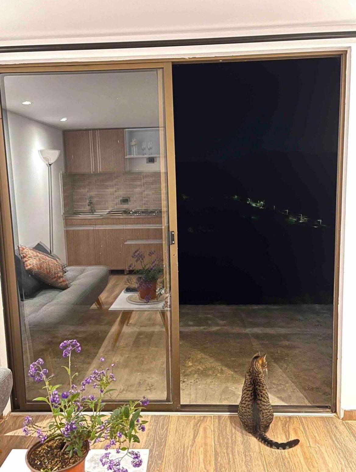 Apartamento tuterra El Recuerdo