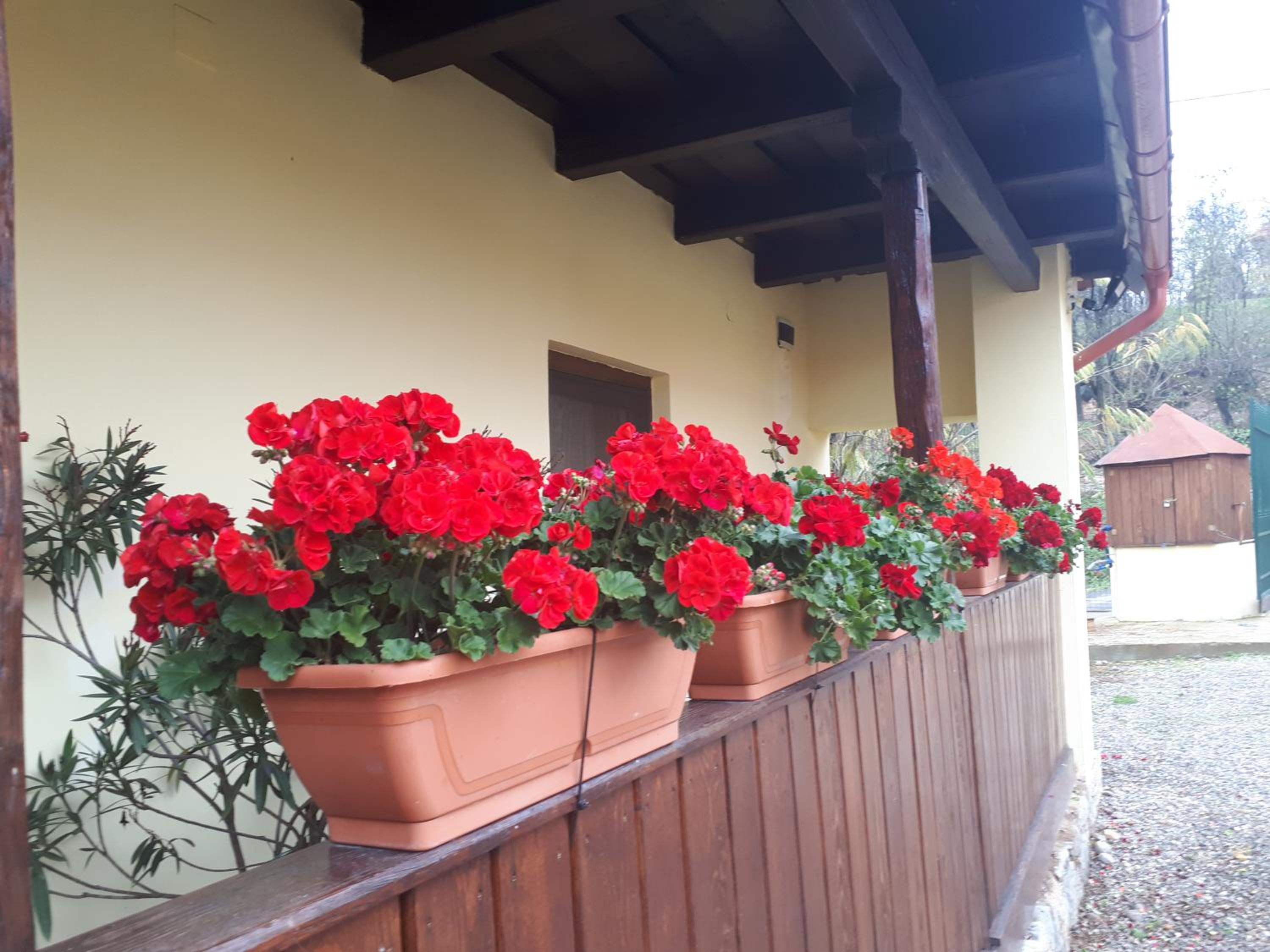 Casa Ciobanca view 3