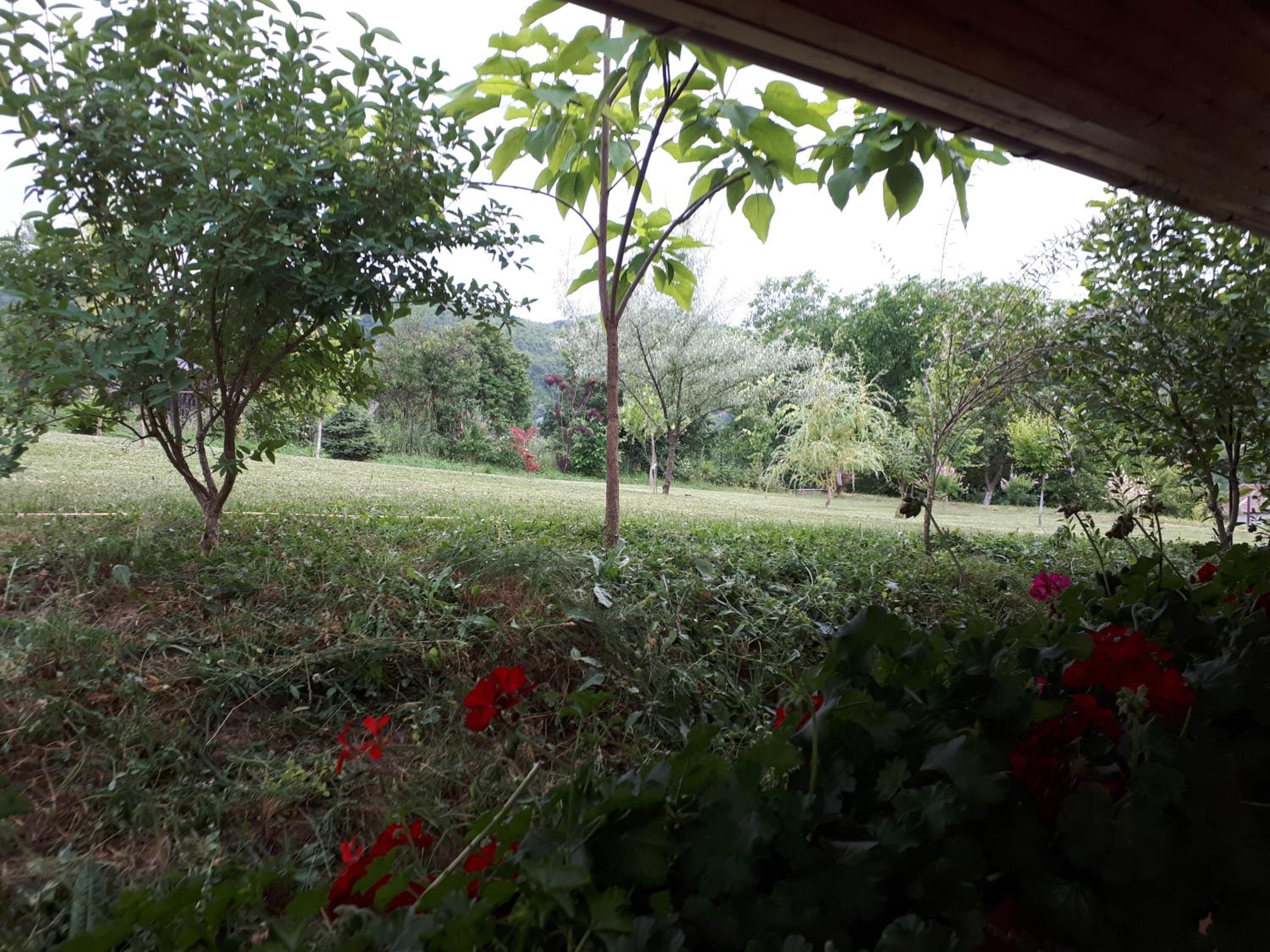 Casa Ciobanca view 2