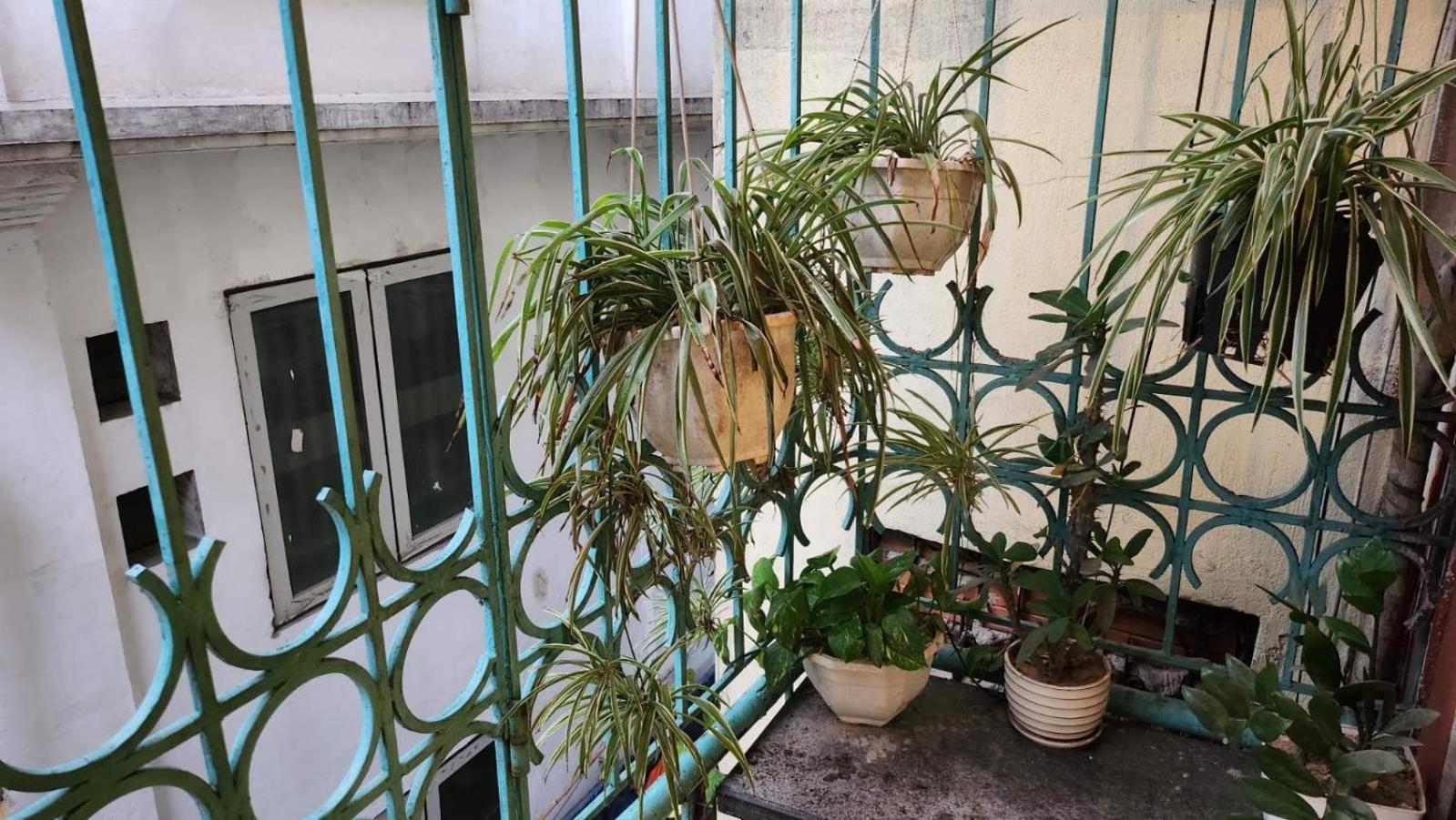 Harmony Homestay - Hanoi Homestay in Old Quarter