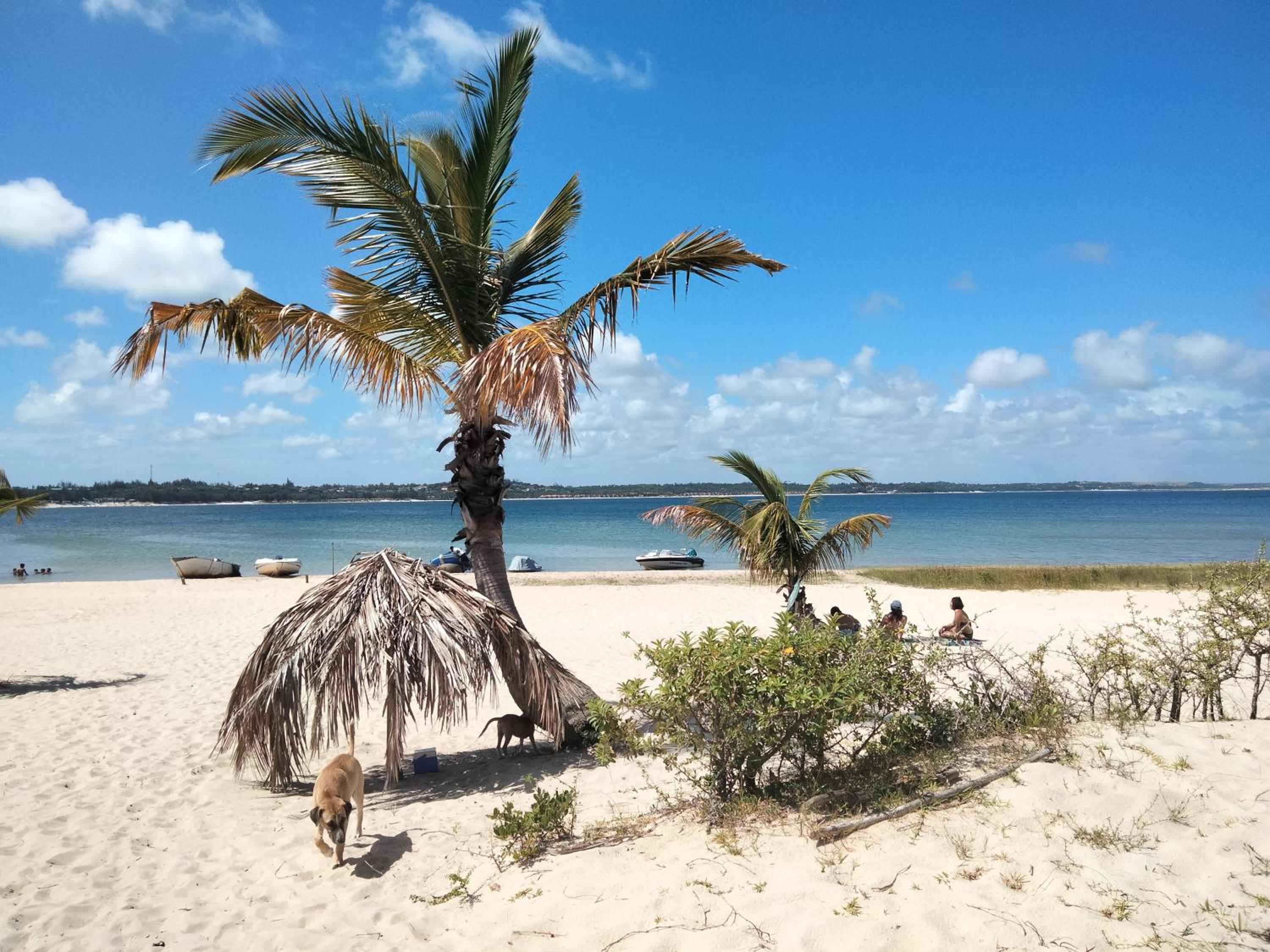 Shongili Island Lodge