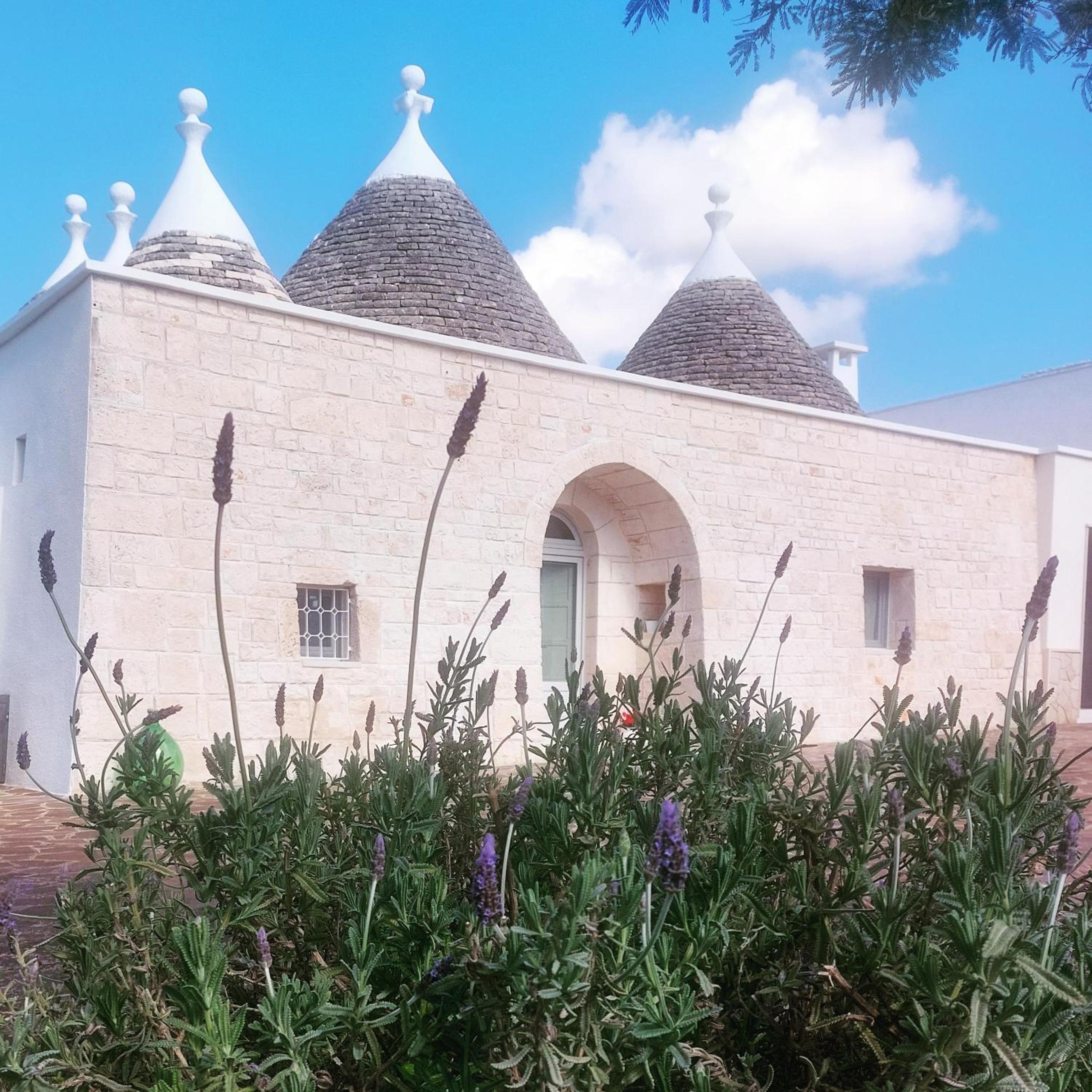 Trullo in vigna view 2