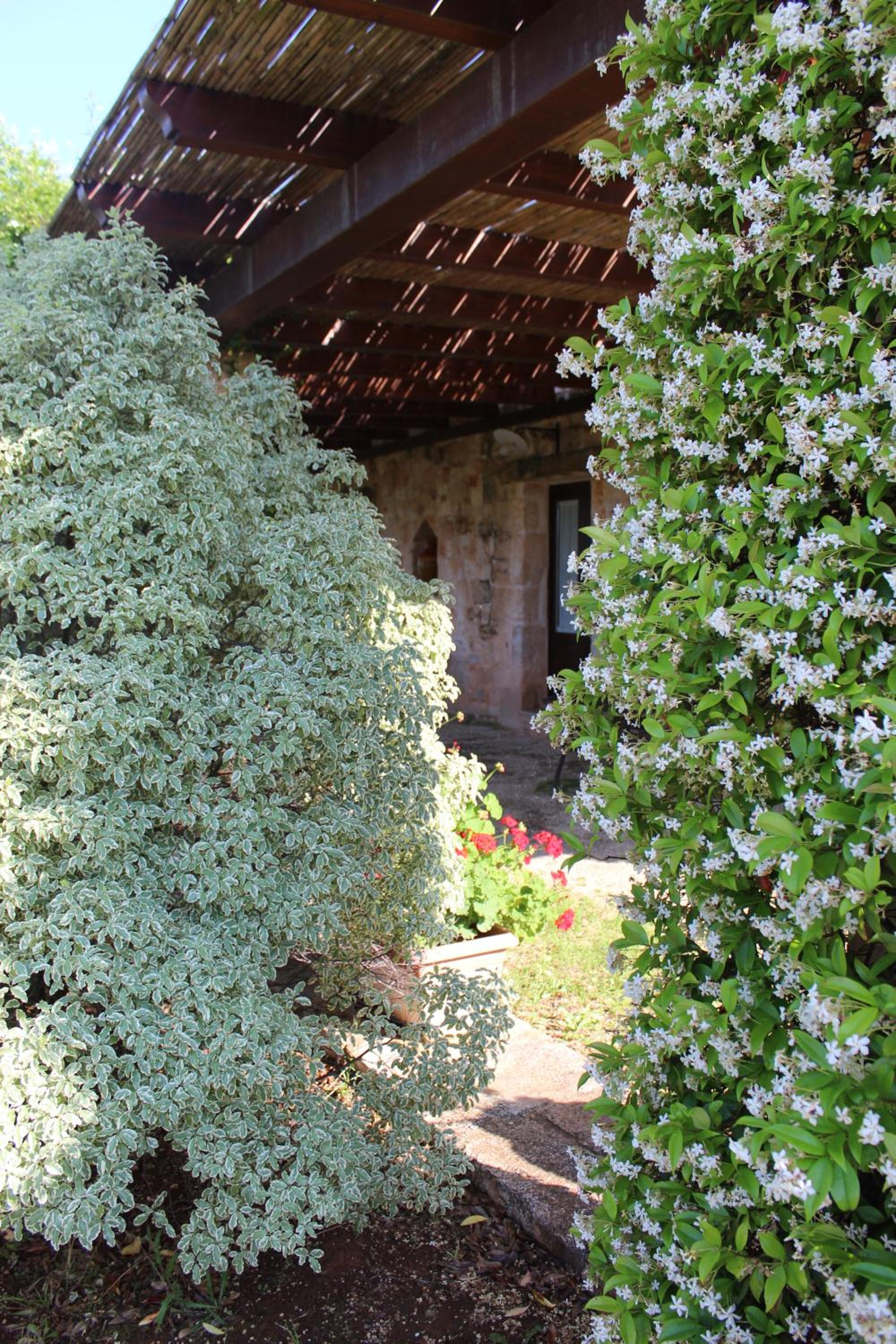 Masseria Tolla