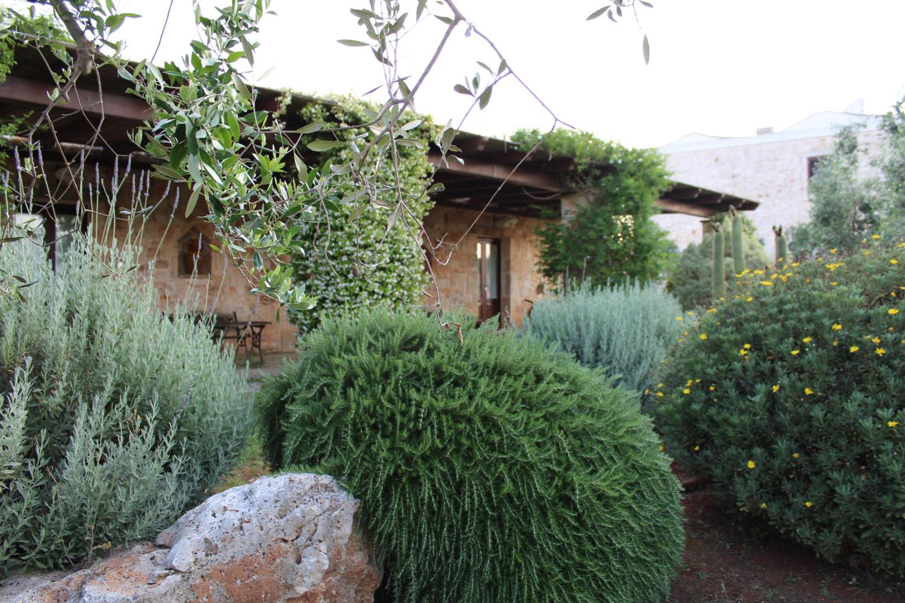 Masseria Tolla