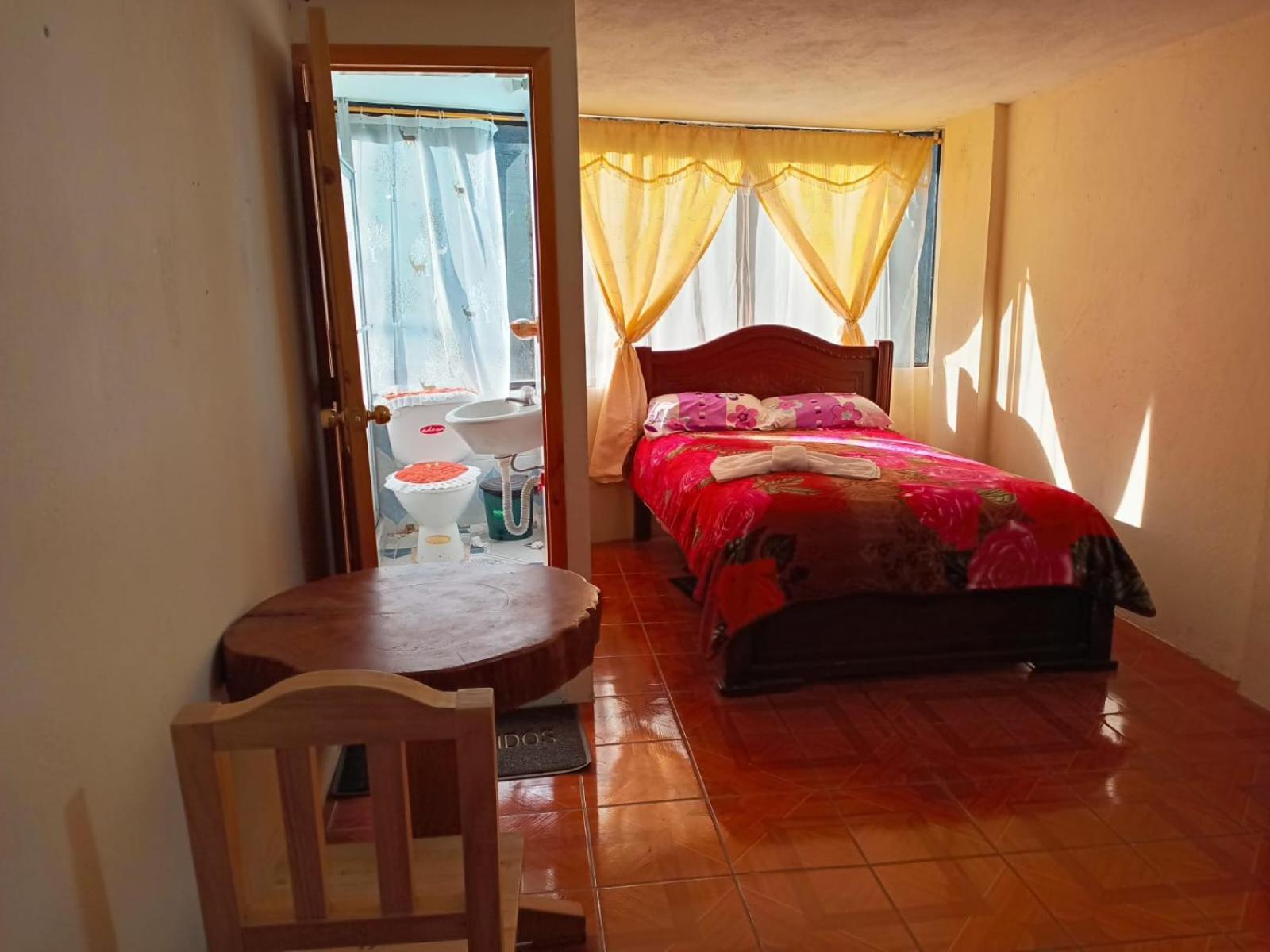Hostal the backpackers