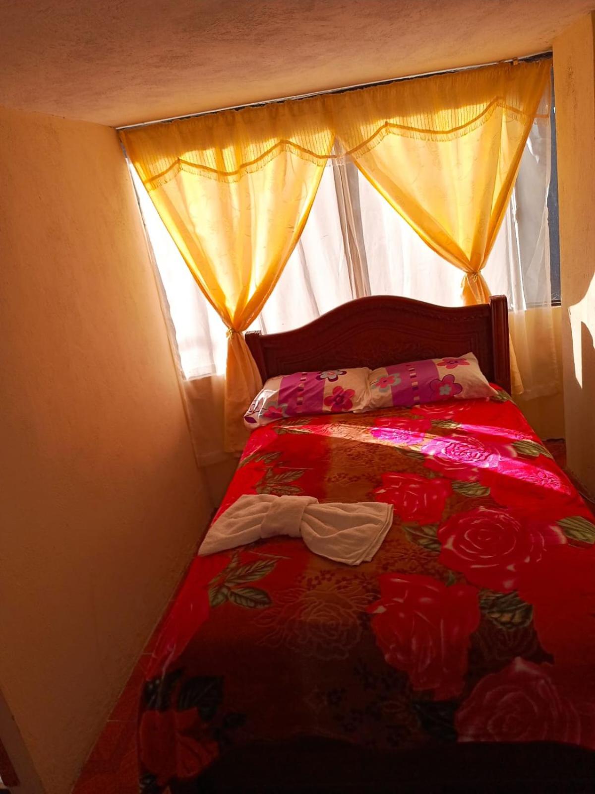 Hostal the backpackers
