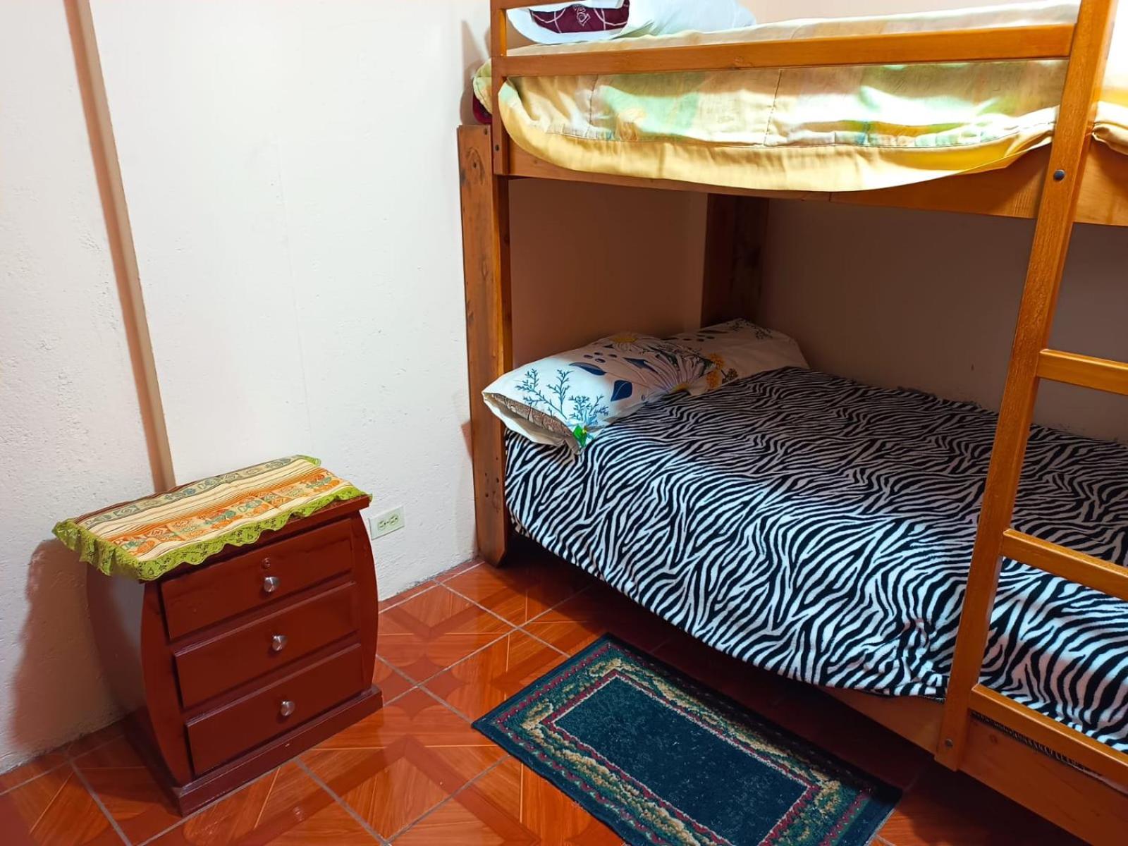 Hostal the backpackers
