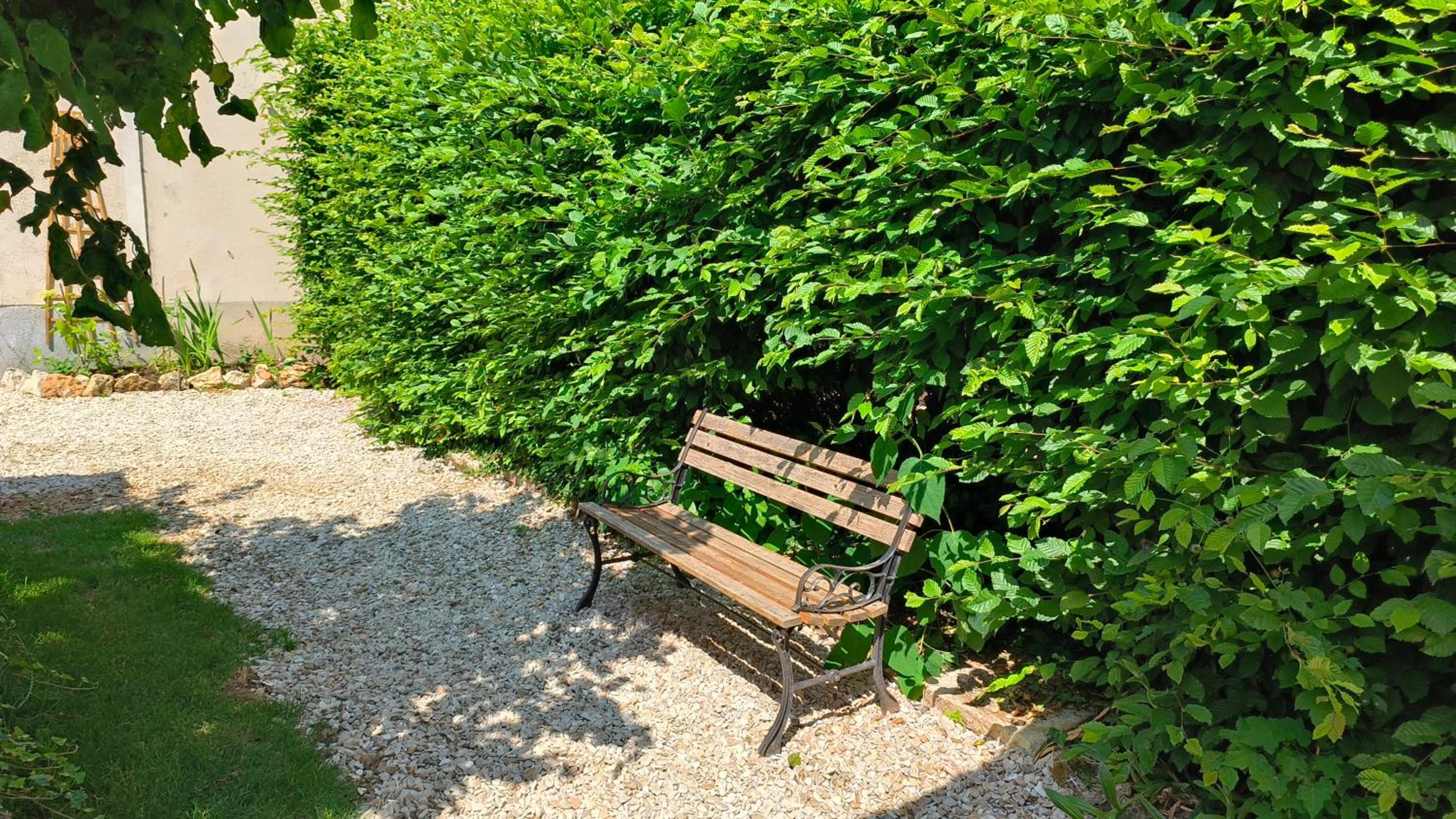 Photo 41