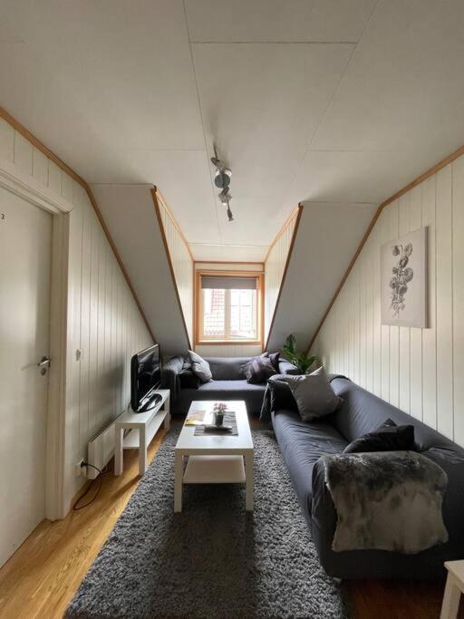 City Center Stylish Loft