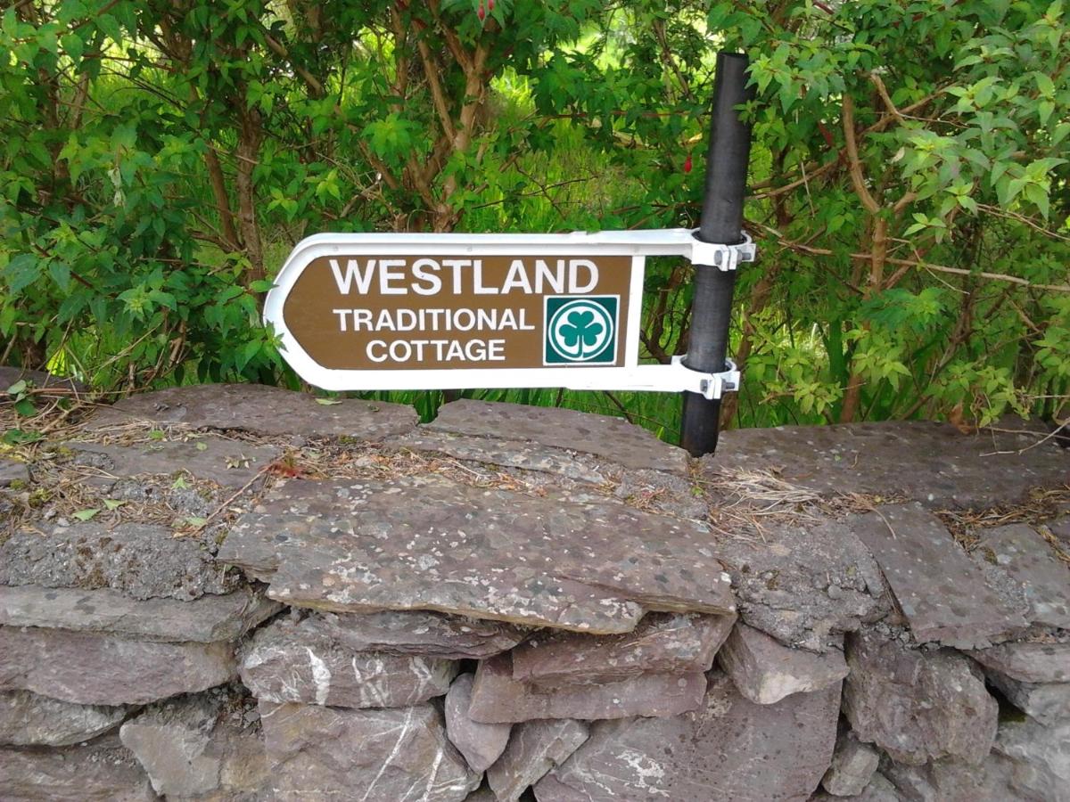 Westland Traditional Cottage dated 1700's view 3