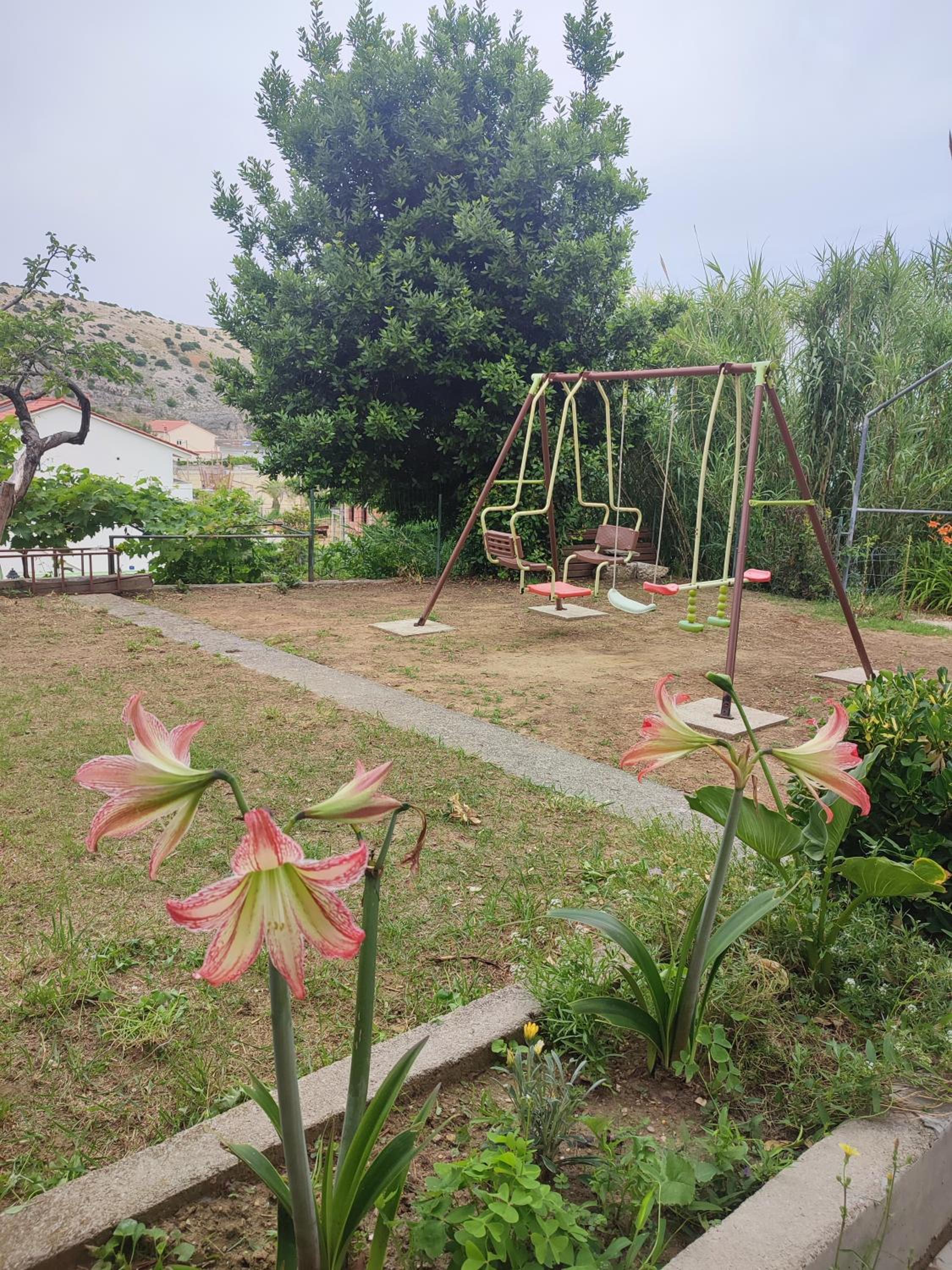 Photo 29