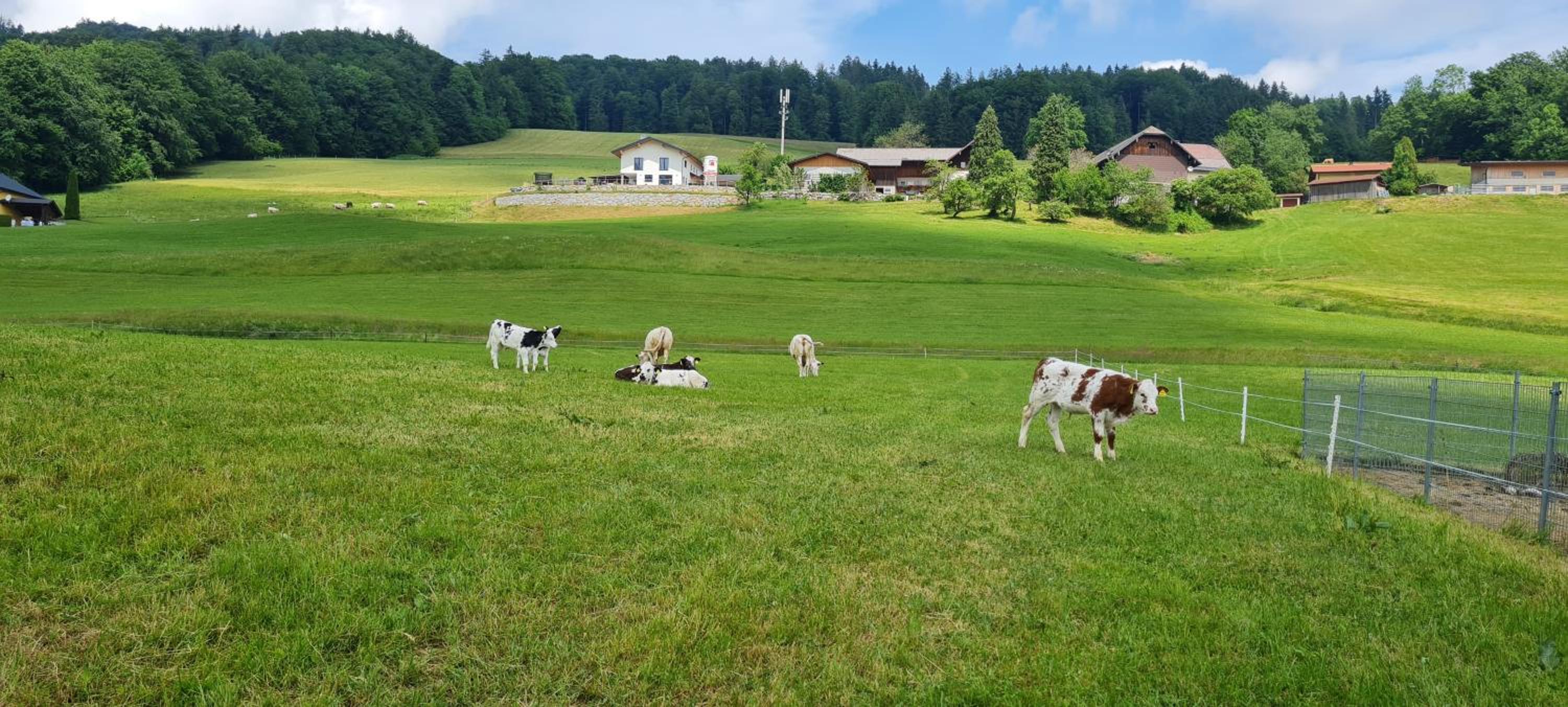 Bauernhof-Loft Edtgut