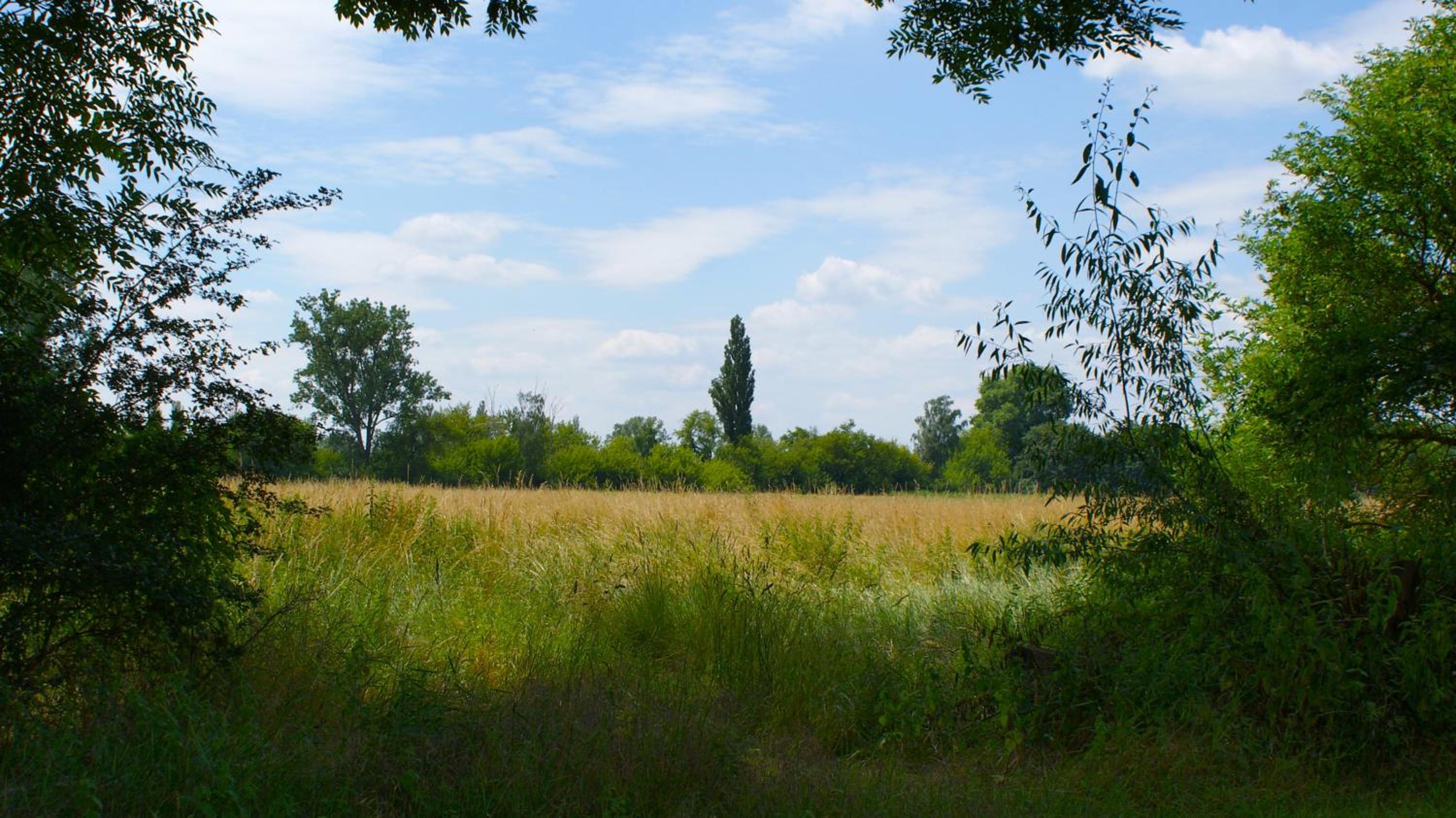 Ferienwohnung Fuchsberge
