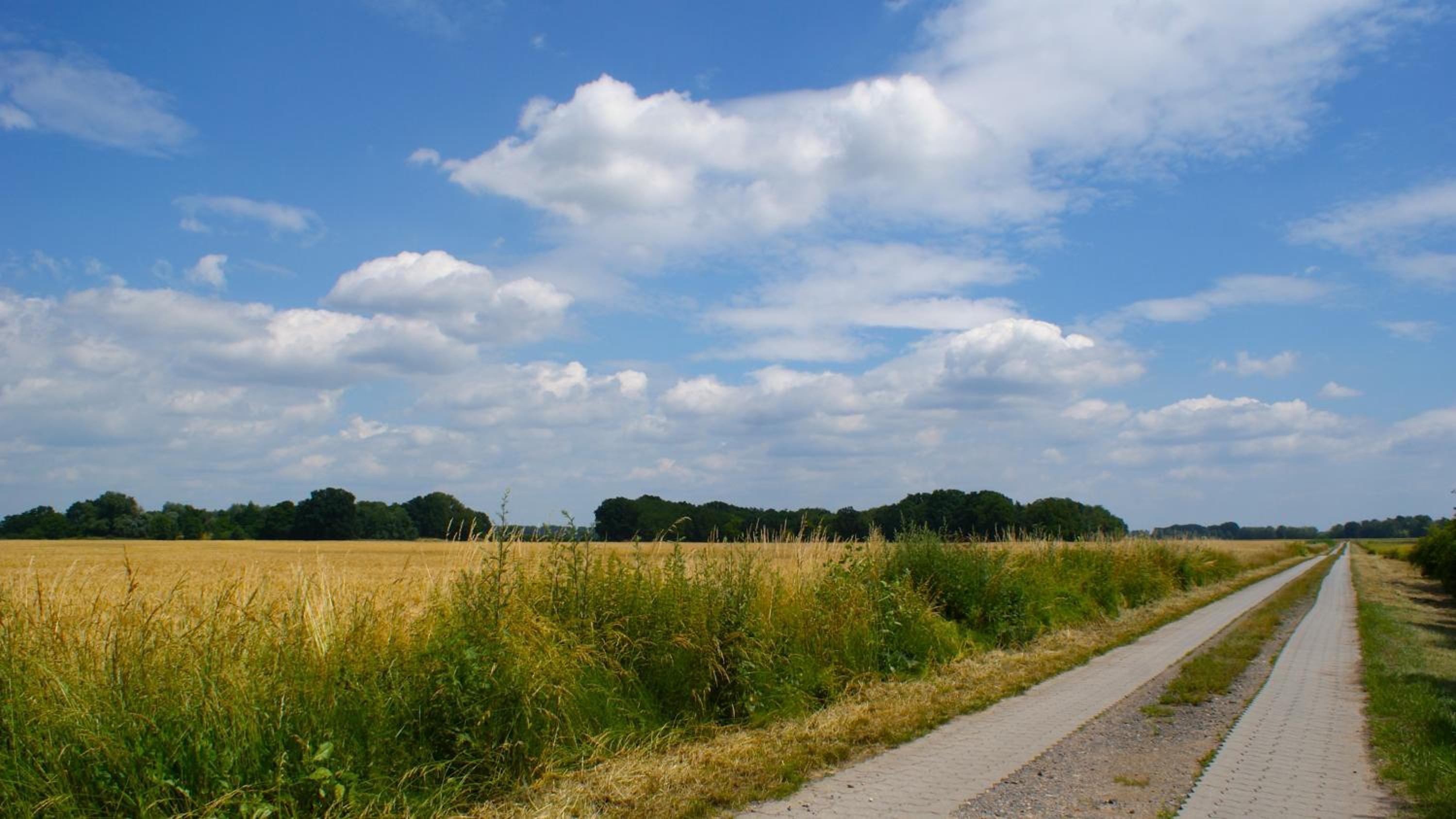 Ferienwohnung Fuchsberge
