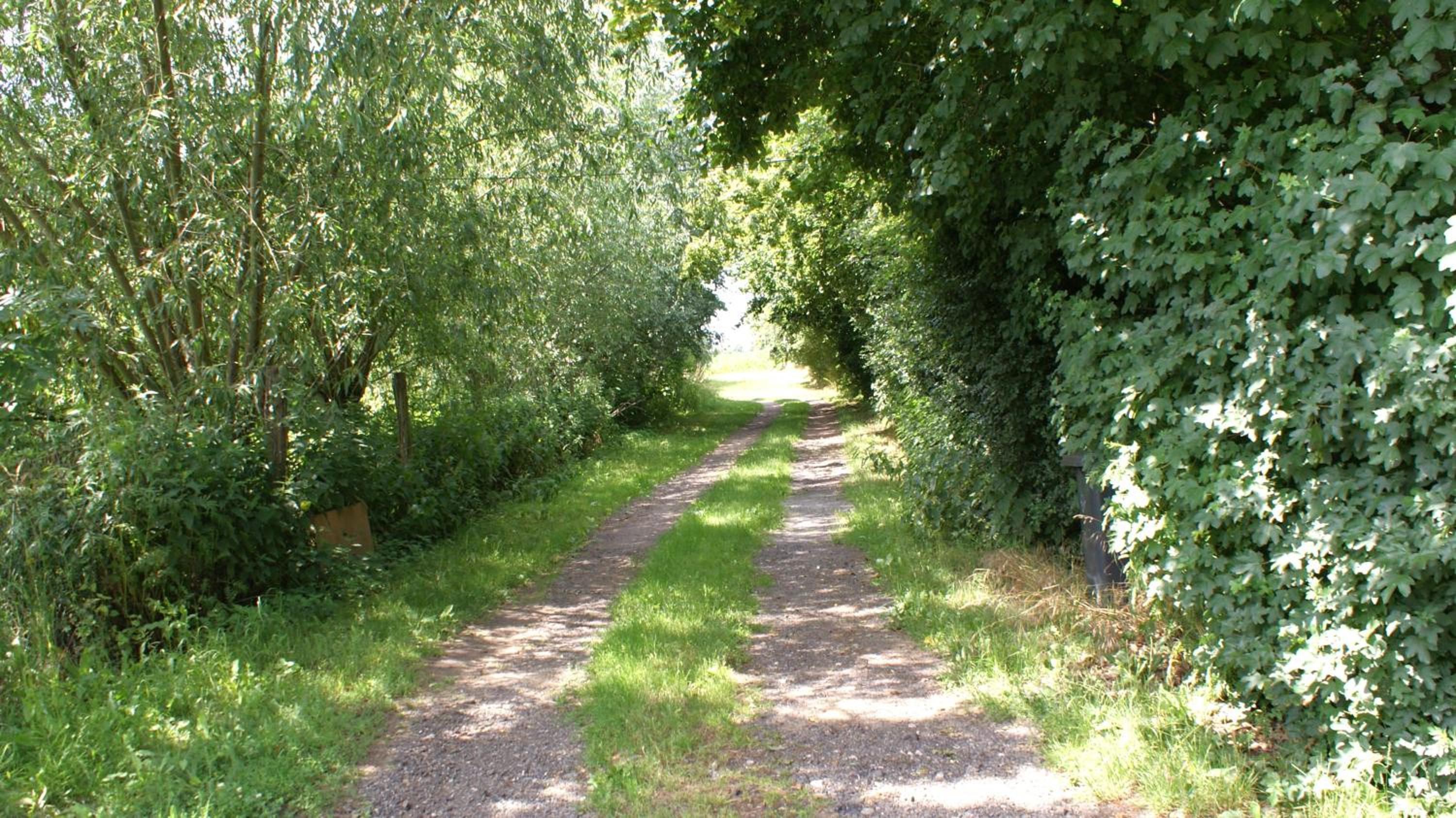 Ferienwohnung Fuchsberge