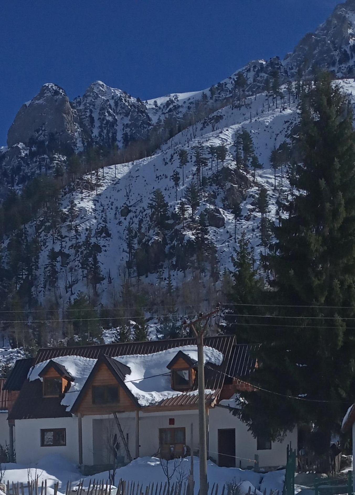 Guest house Albjoni