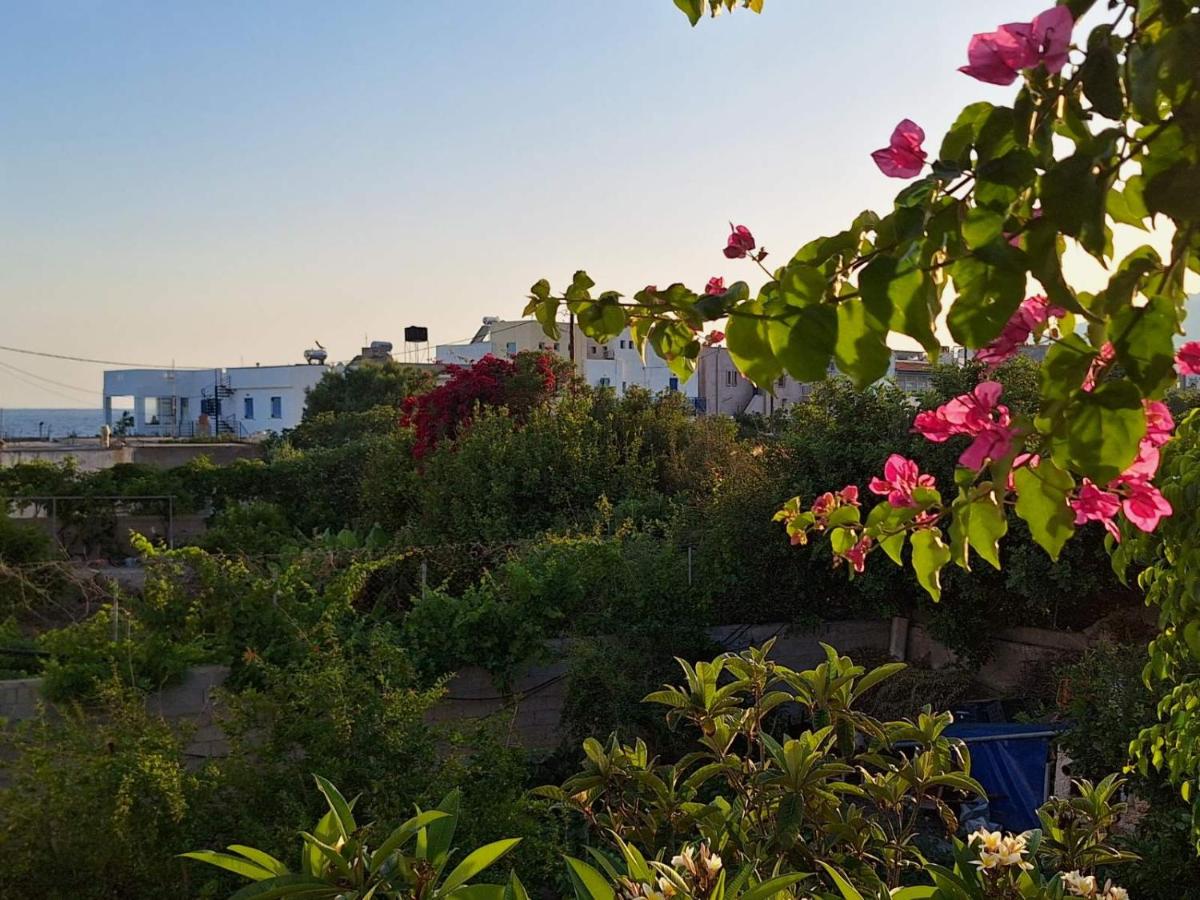 Photo 32