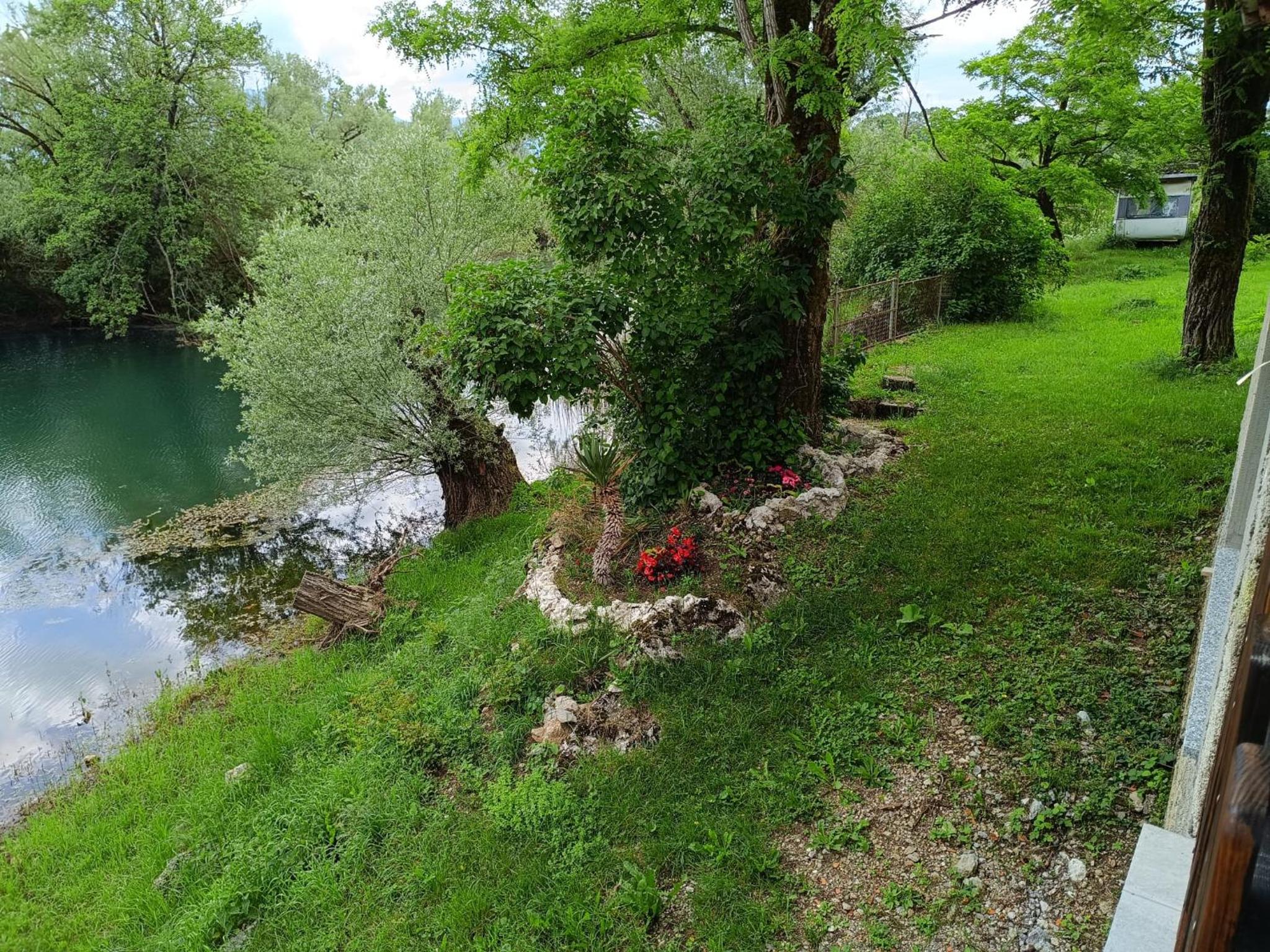 Photo 46