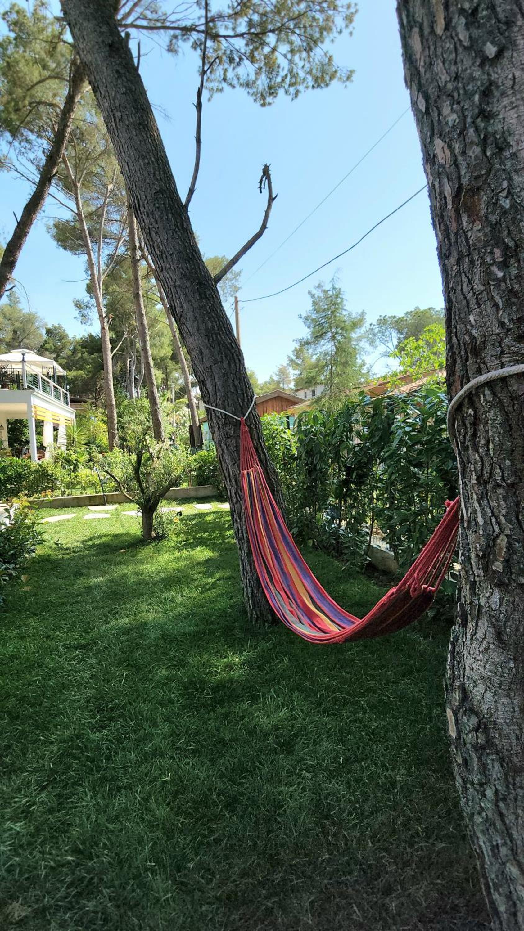 Cozy PineTrees Beach House