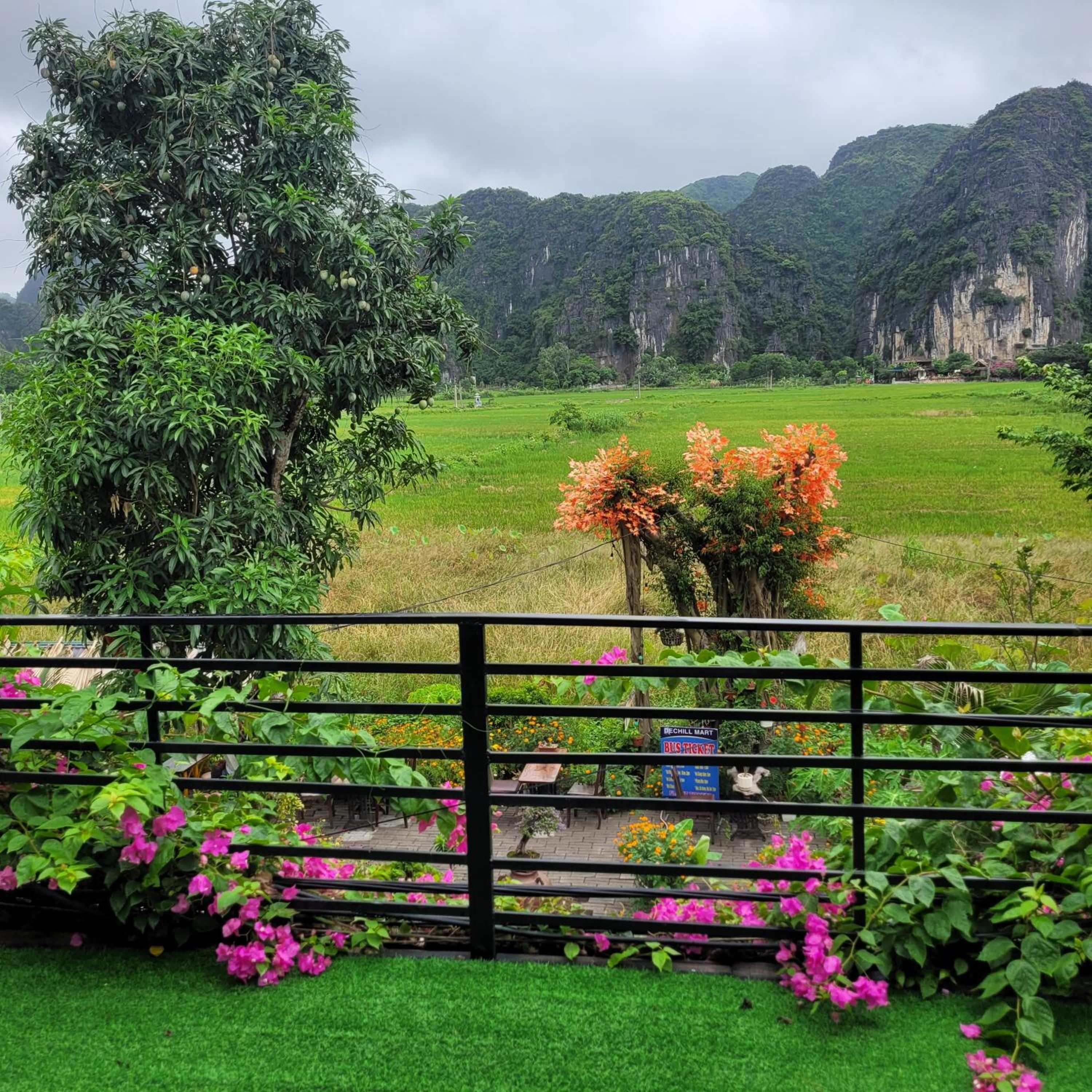 Amazing View Homestay
