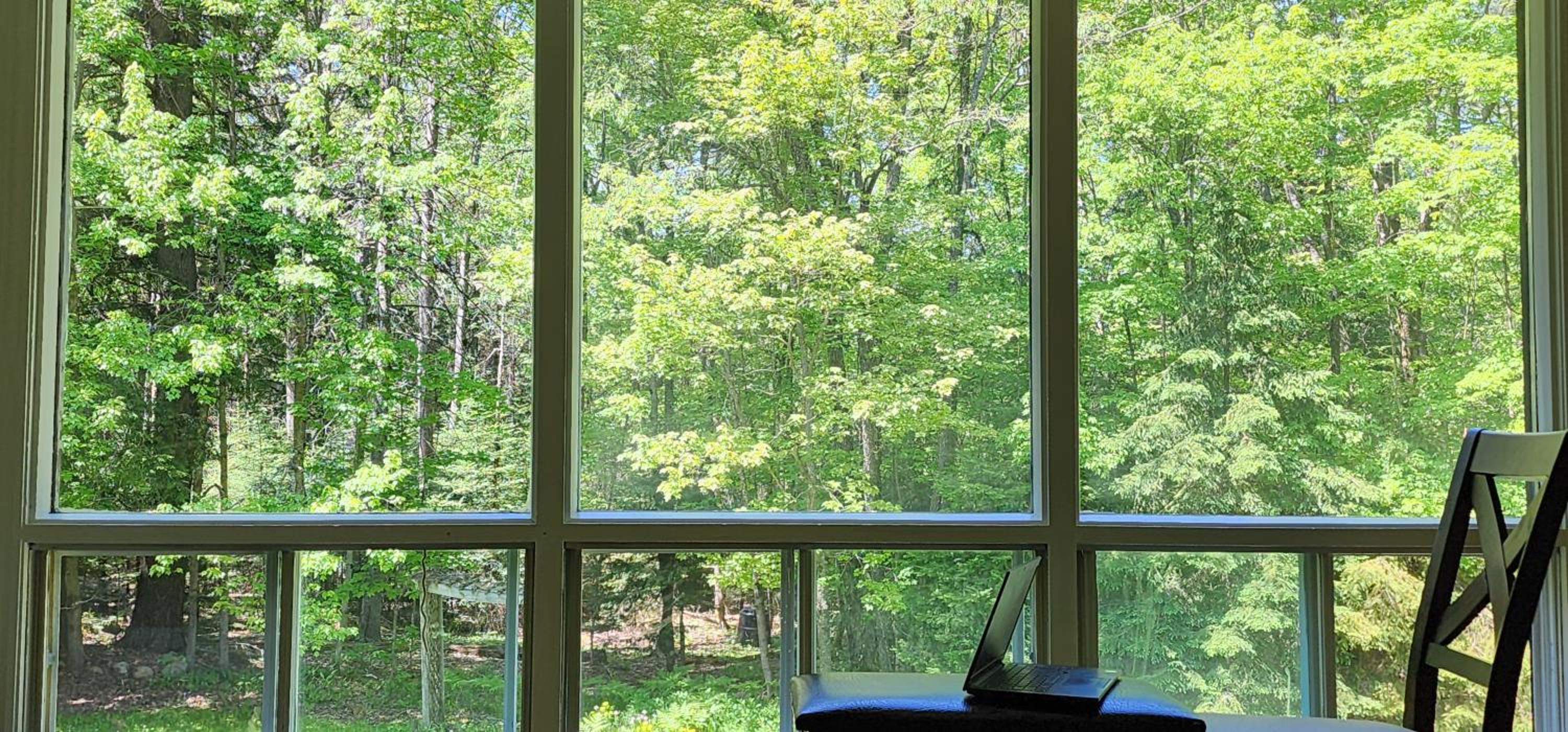Private 5 BR Muskoka Cottage Firepit+BBQ+Wi-Fi