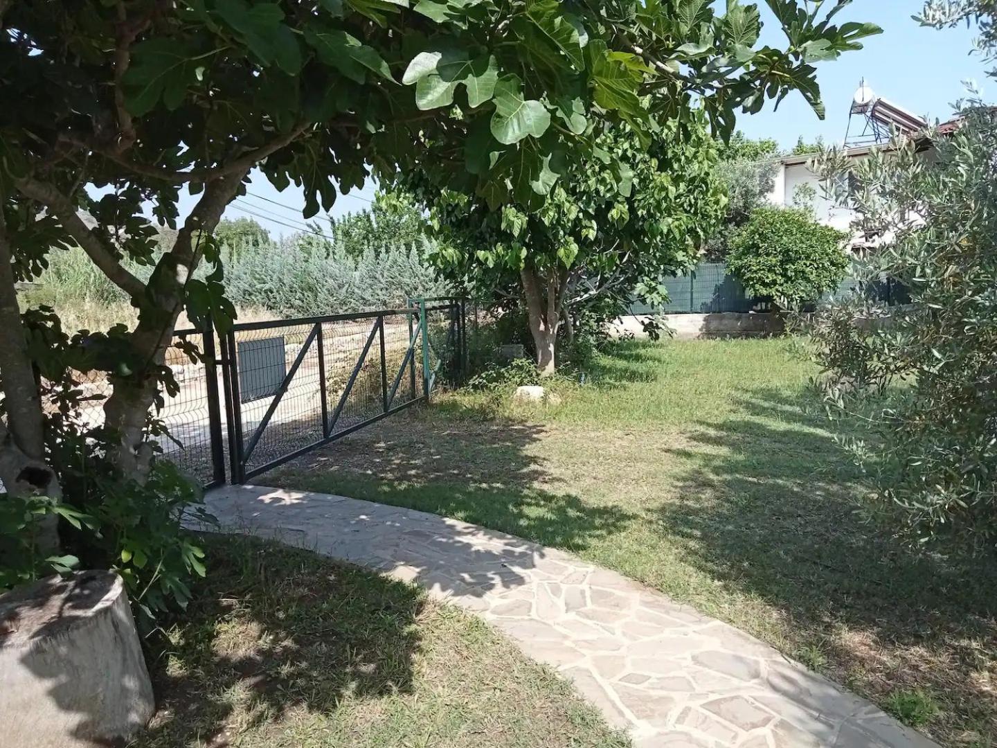 Photo 11