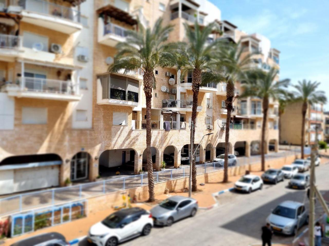 Your home in Acre from Shneider Apartments view 3