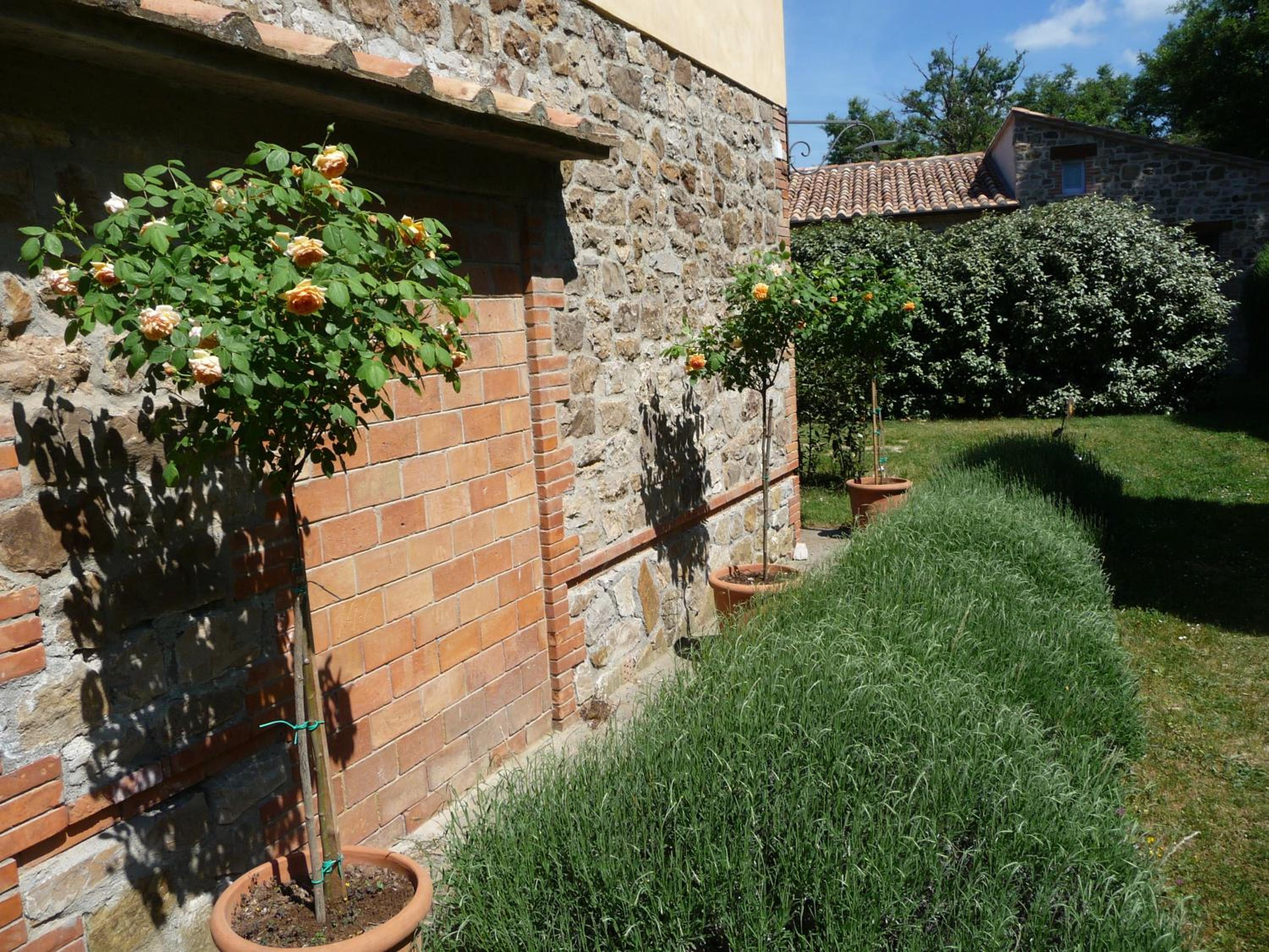 Photo 39