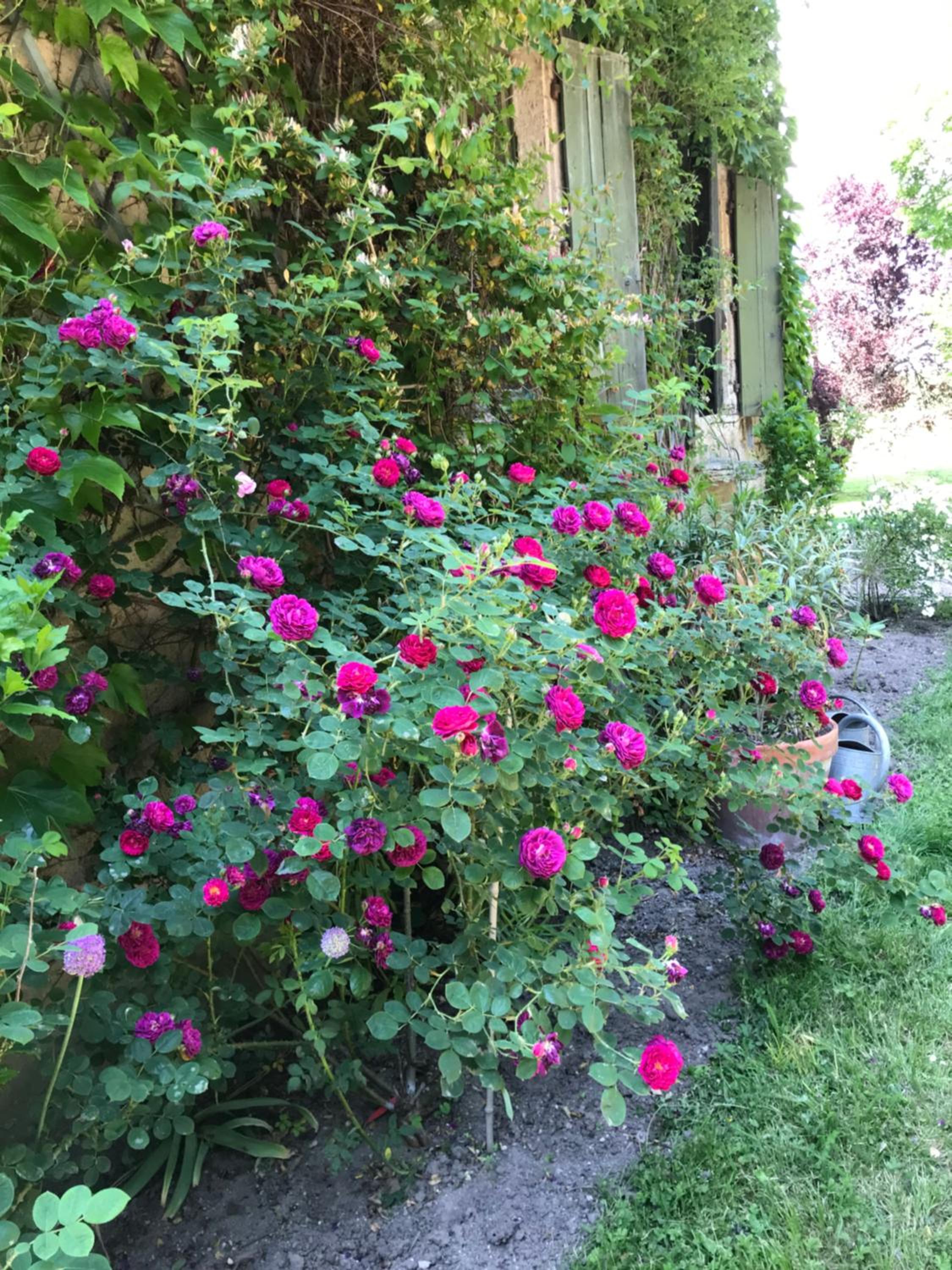 Photo 33