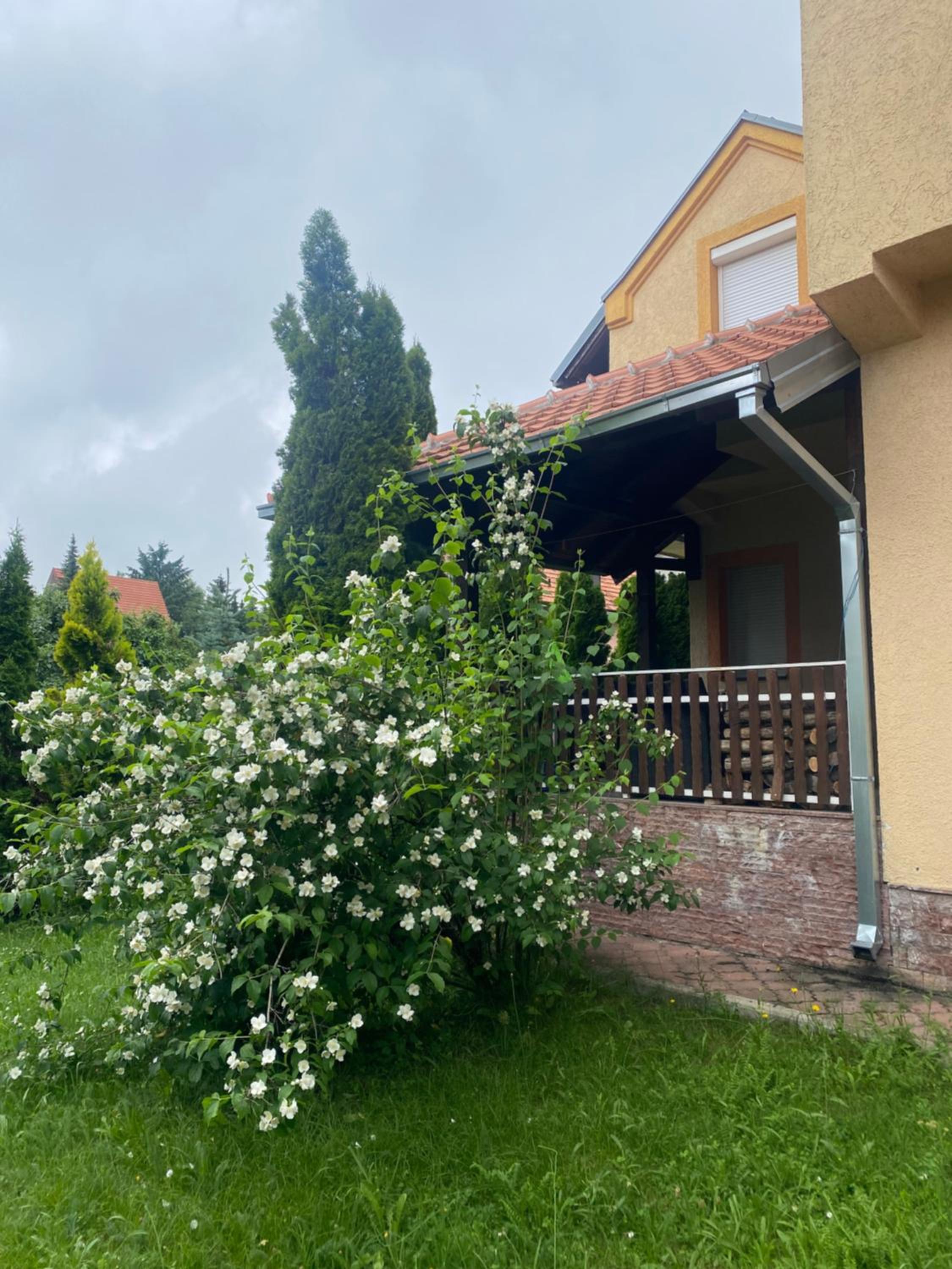 Pino Munika apartman