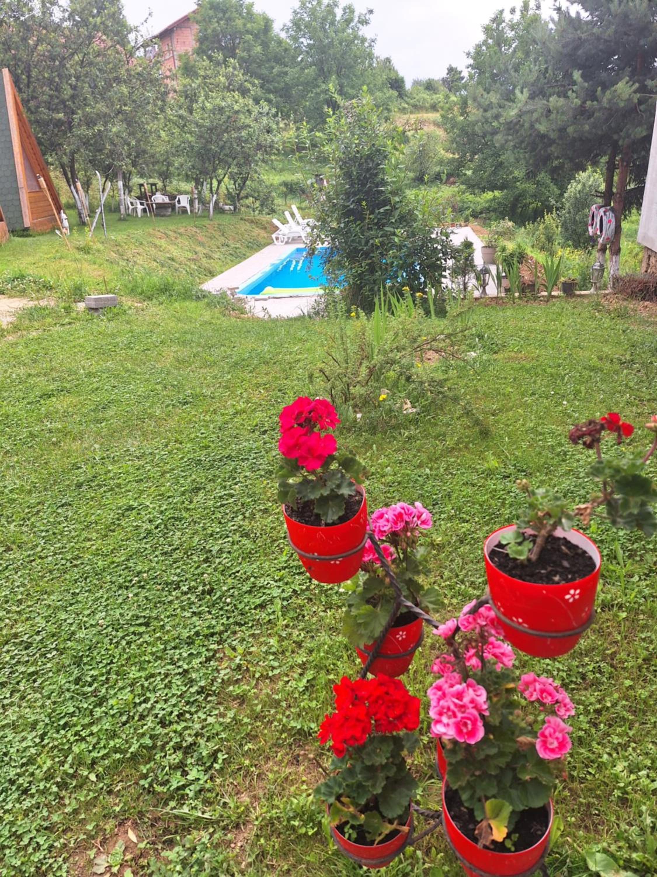 Photo 43