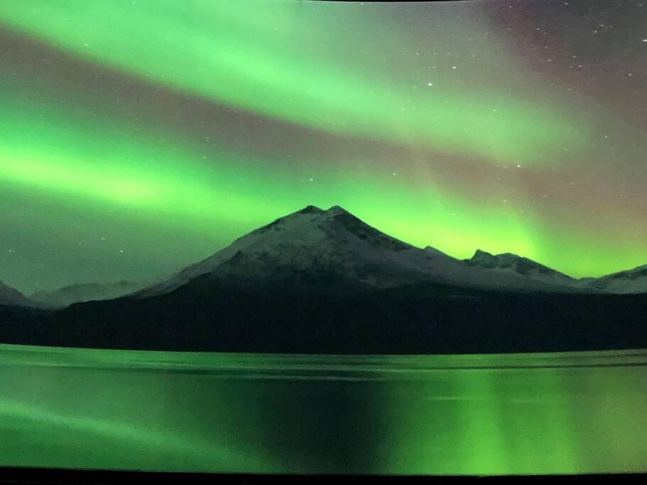 Northern Light Tromsø