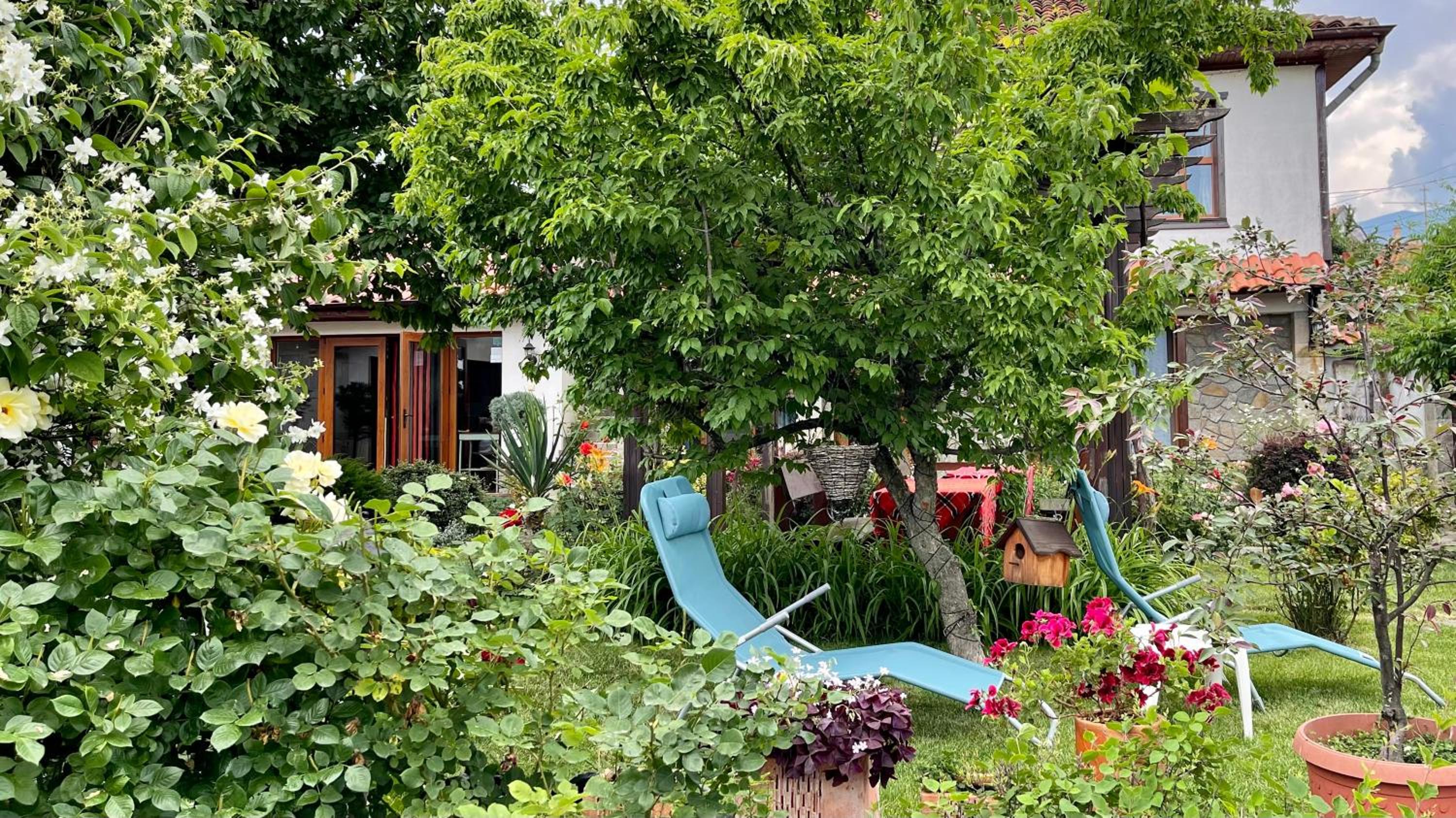 Iliikova House