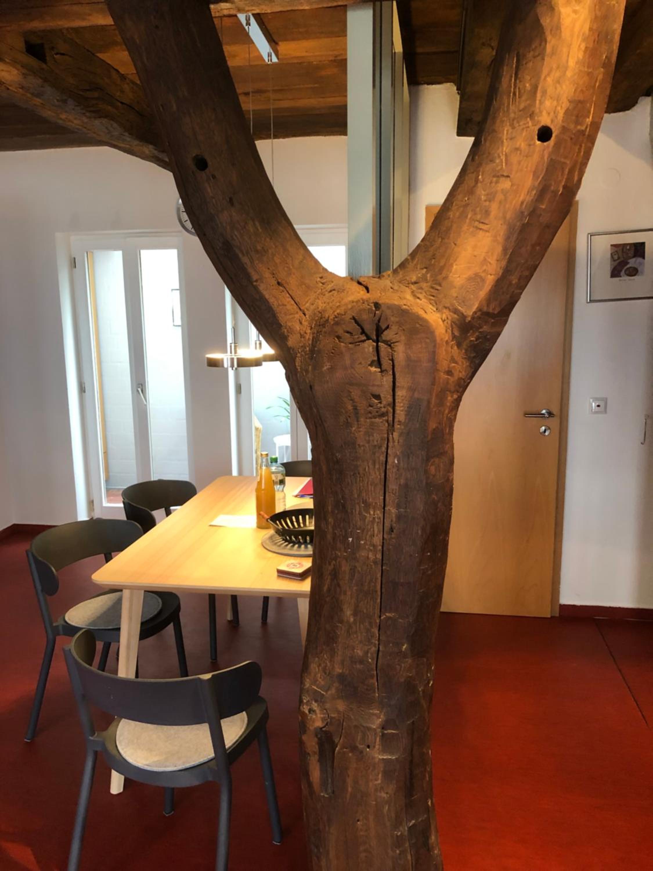 Charmantes Fachwerkhaus in der Innenstadt