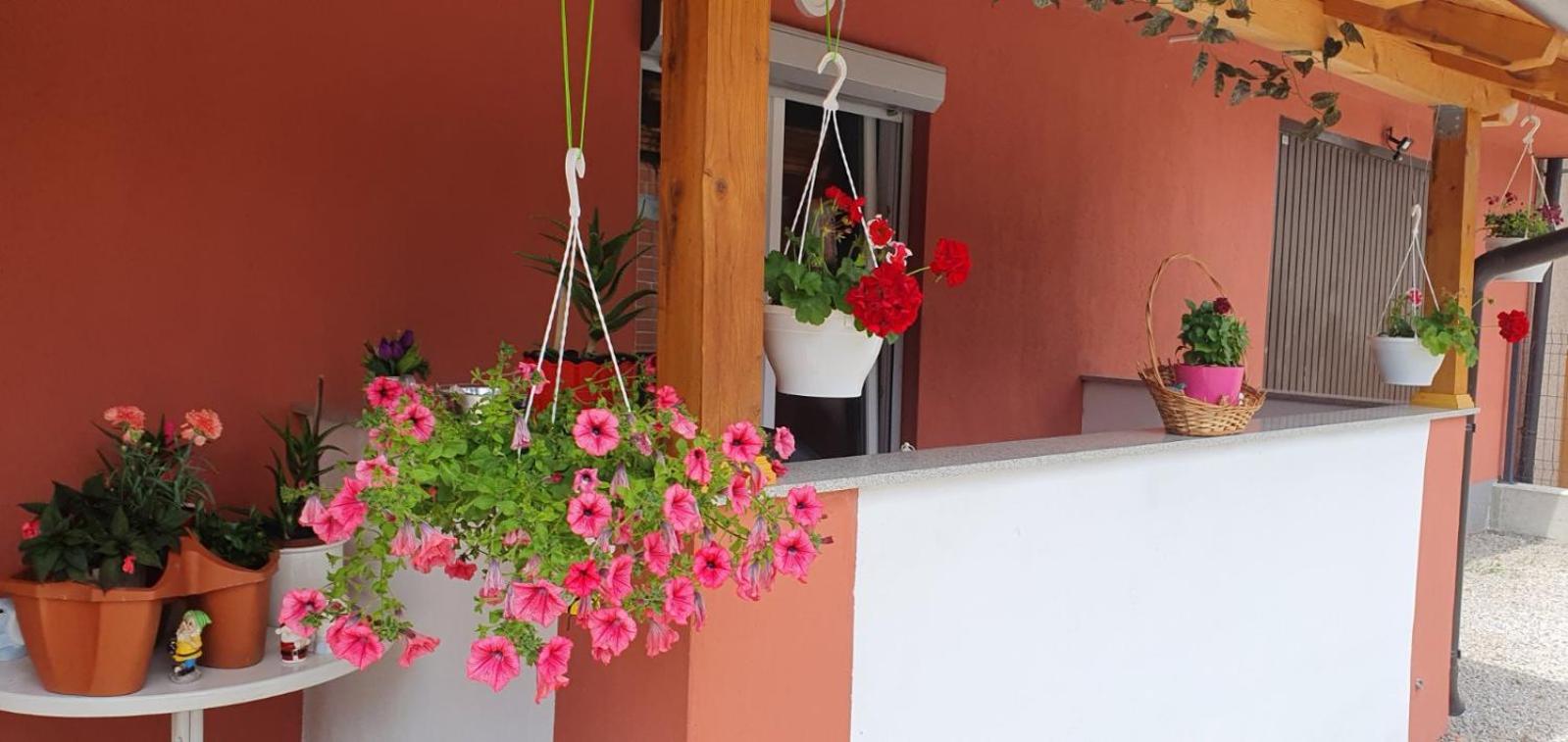 Apartman Leon