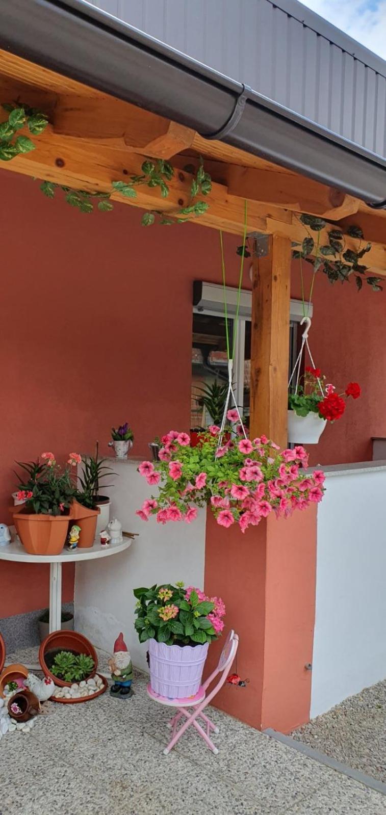 Apartman Leon