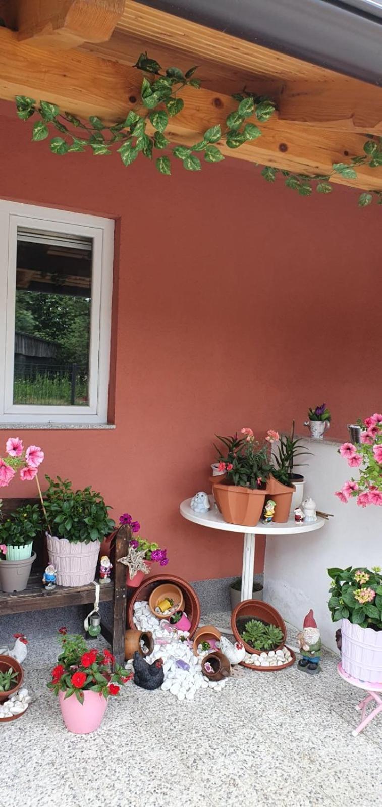 Apartman Leon