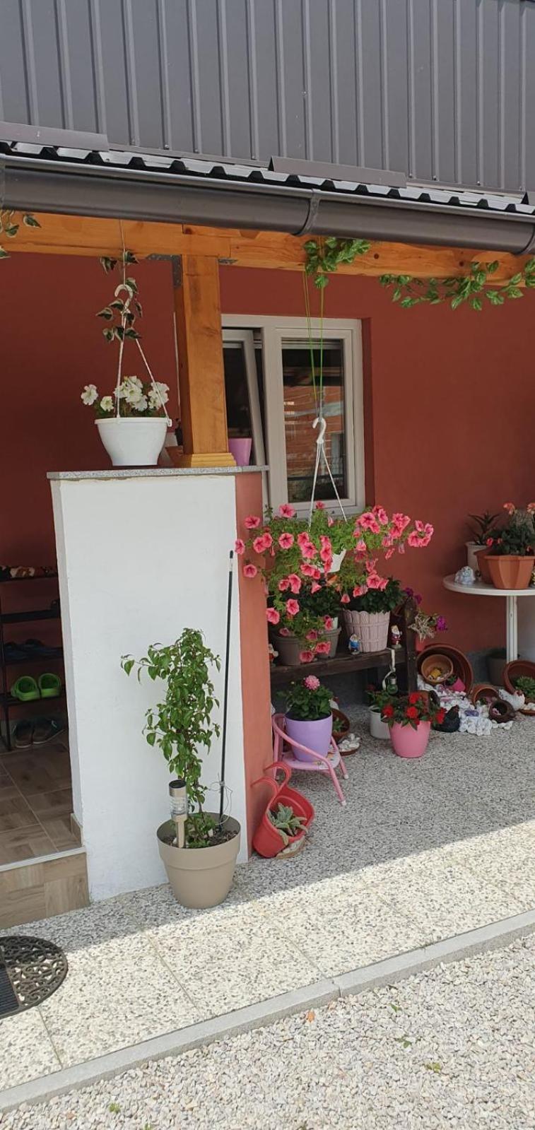 Apartman Leon