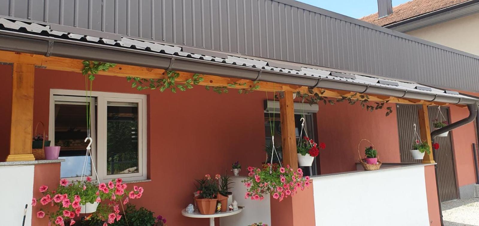 Apartman Leon