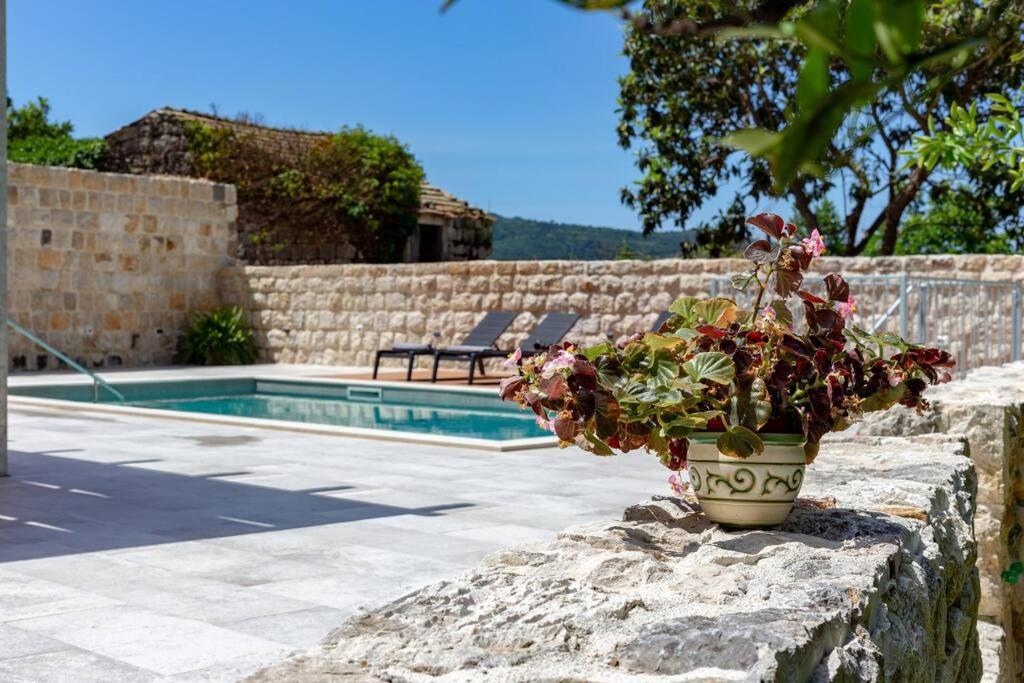 Villa Marlea Konavle Dubrovnik