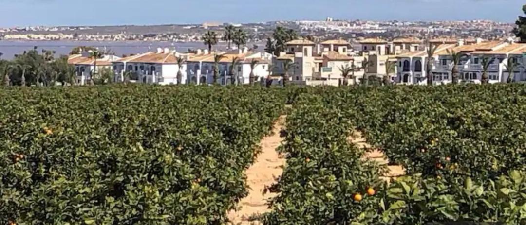 Spanish style apartment with terrace Torrevieja