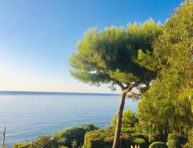 Villa Cannes directly on the sea photo 1