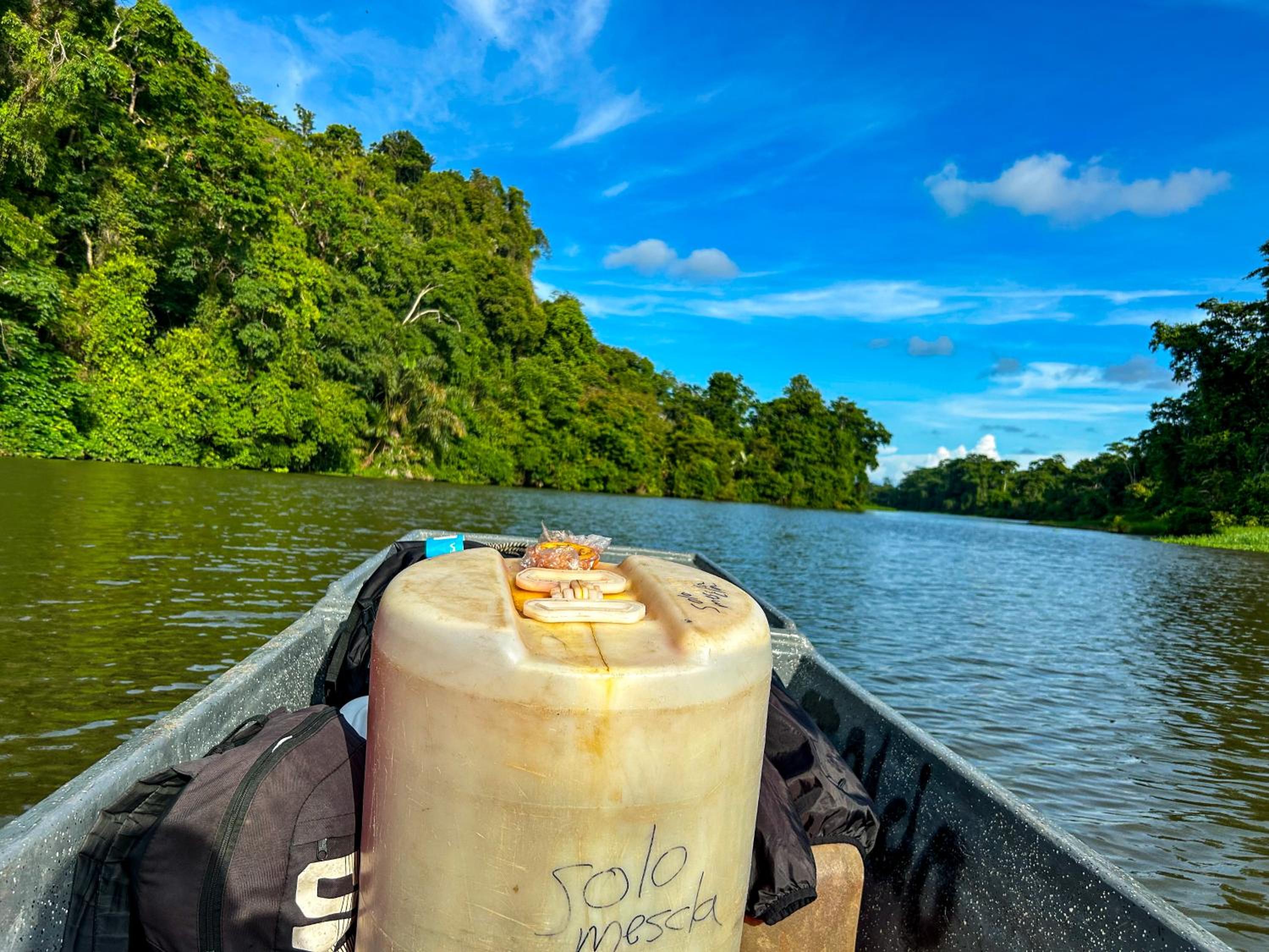 Departamento 7 Tortuguero