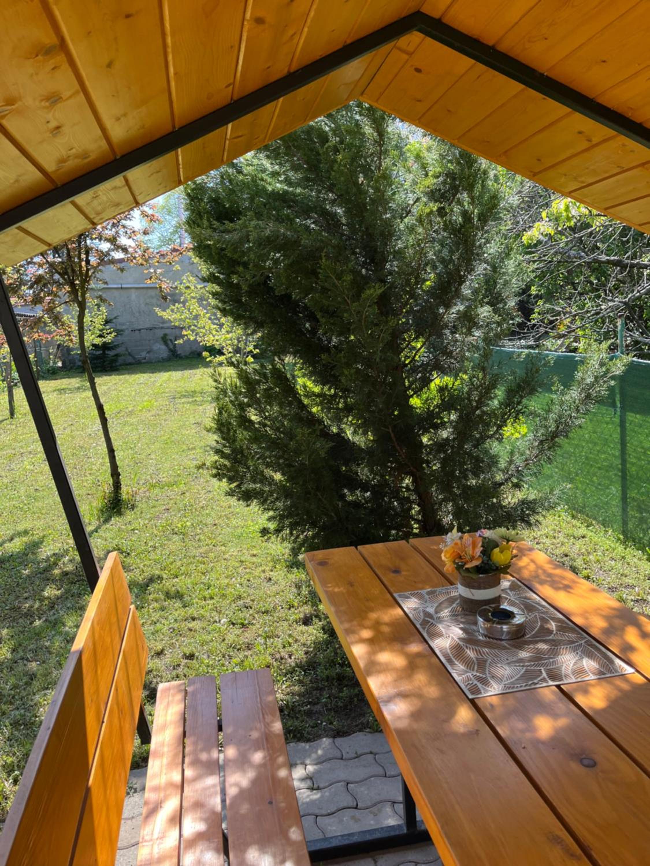 Photo 6