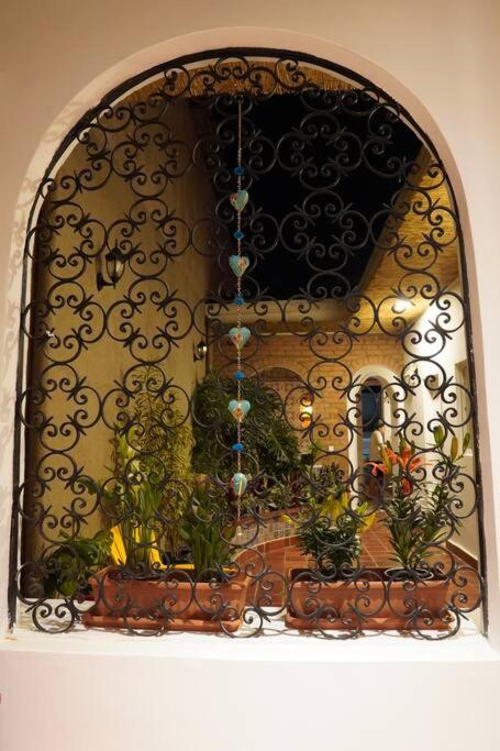 Nueva en San Antonio Cali, La casa de Toña