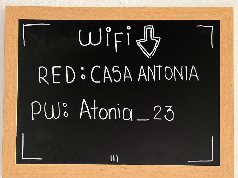 Nueva en San Antonio Cali, La casa de Toña