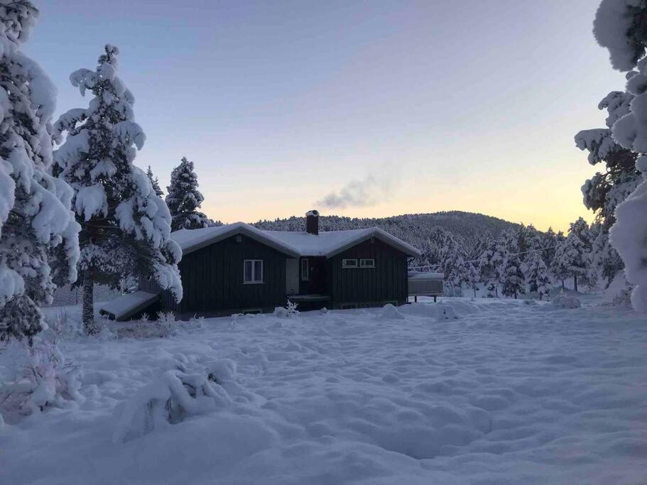 Frittliggende hytte i flott turterreng view 5